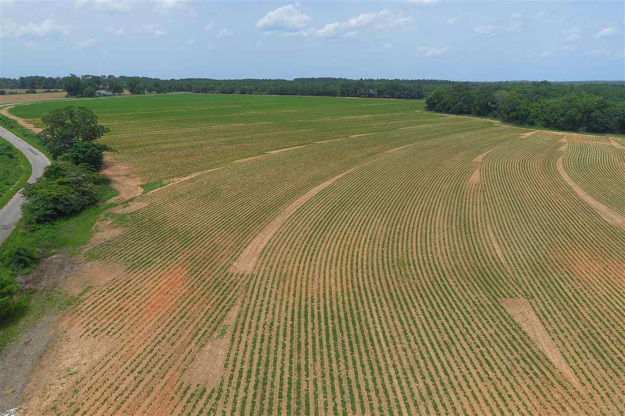 0 Whispering Pine Road Brewton, AL 36426 - Photo 3 of 27