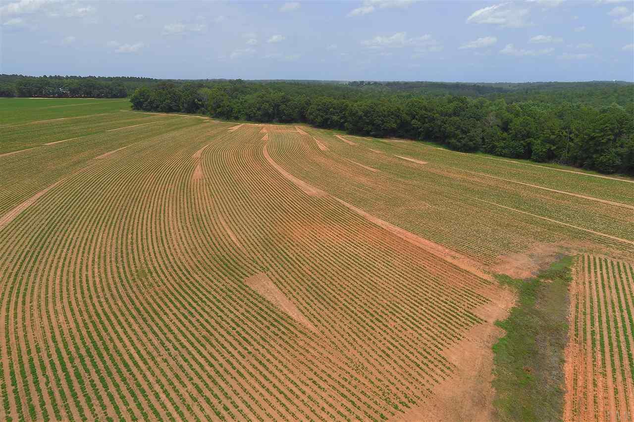 0 Whispering Pine Road Brewton, AL 36426 - Photo 4 of 27