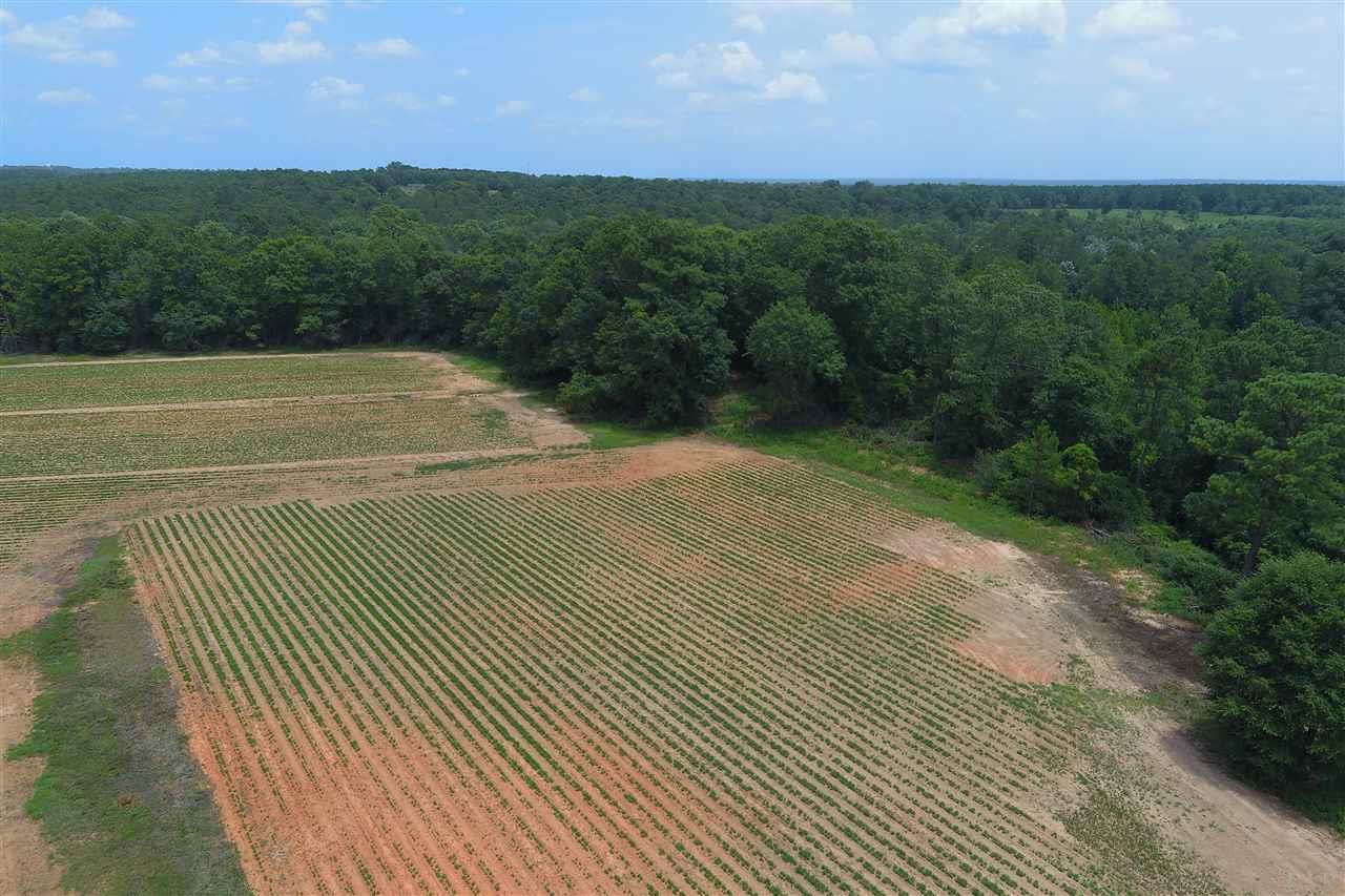0 Whispering Pine Road Brewton, AL 36426 - Photo 5 of 27