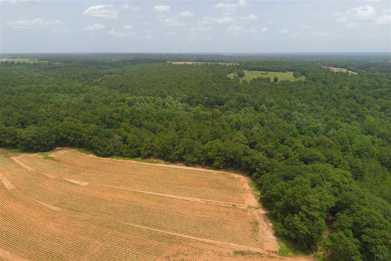 0 Whispering Pine Road Brewton, AL 36426 - Photo 6 of 27