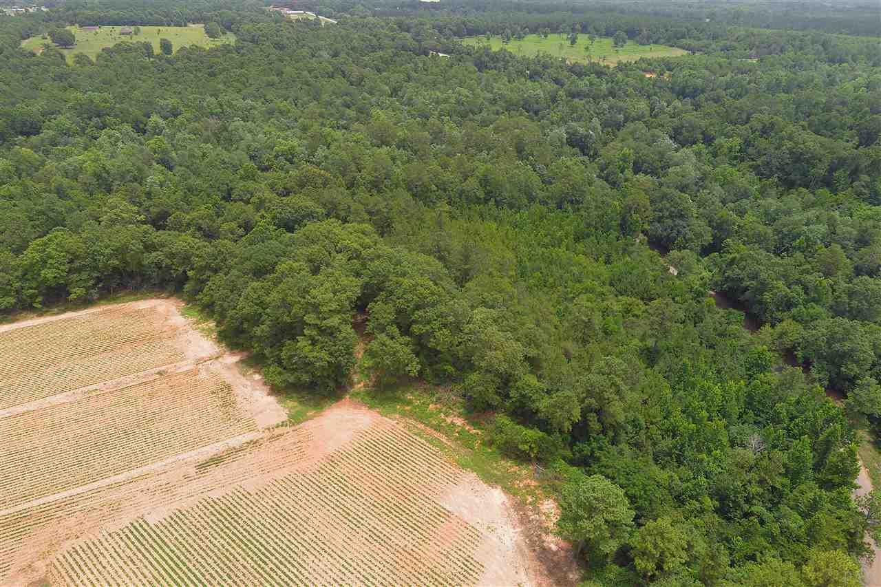 0 Whispering Pine Road Brewton, AL 36426 - Photo 7 of 27