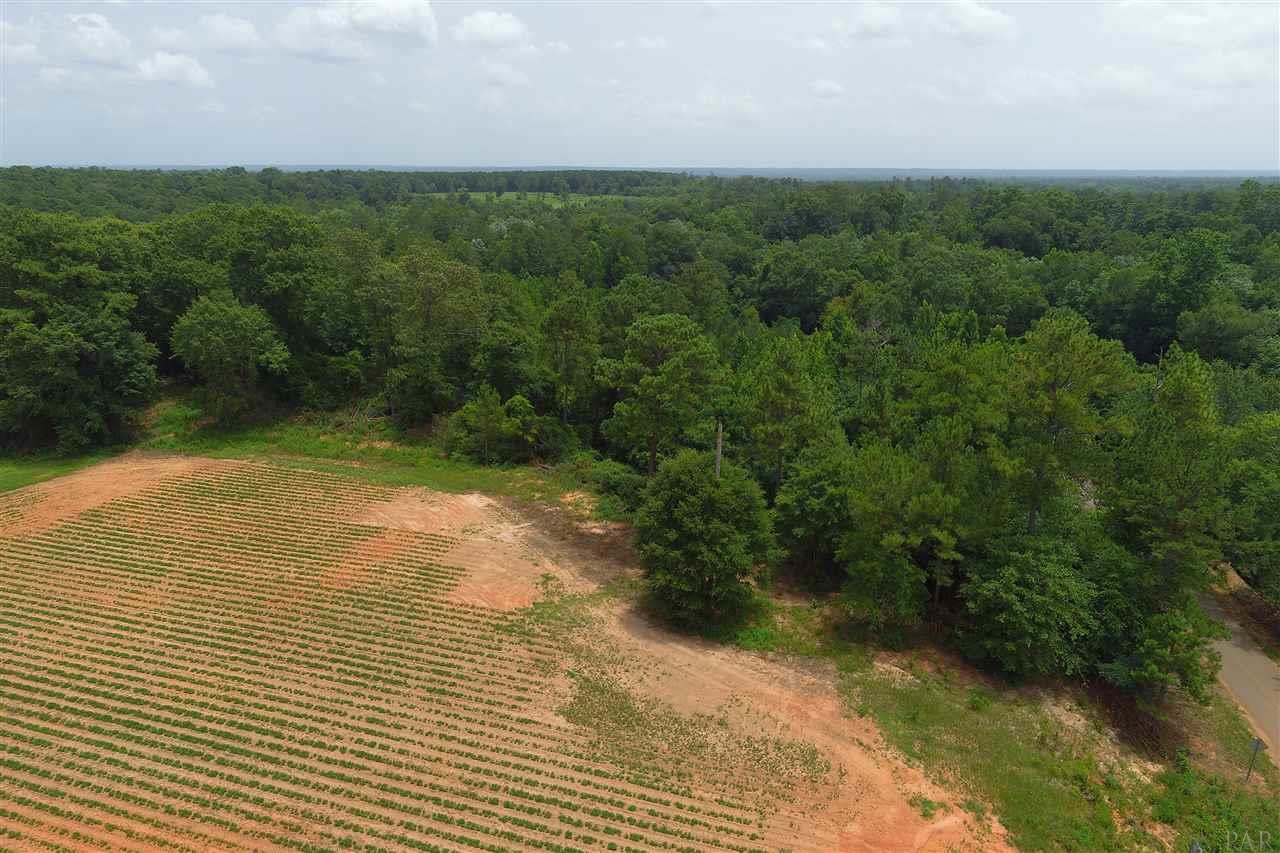0 Whispering Pine Road Brewton, AL 36426 - Photo 8 of 27