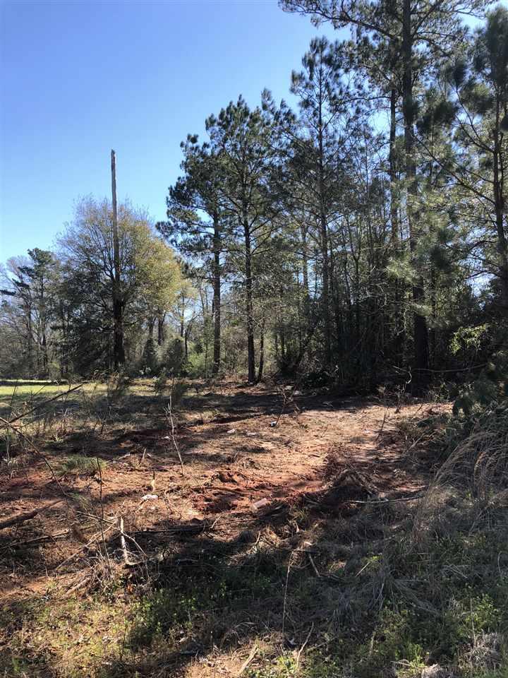 0 Whispering Pine Road Brewton, AL 36426 - Photo 9 of 27