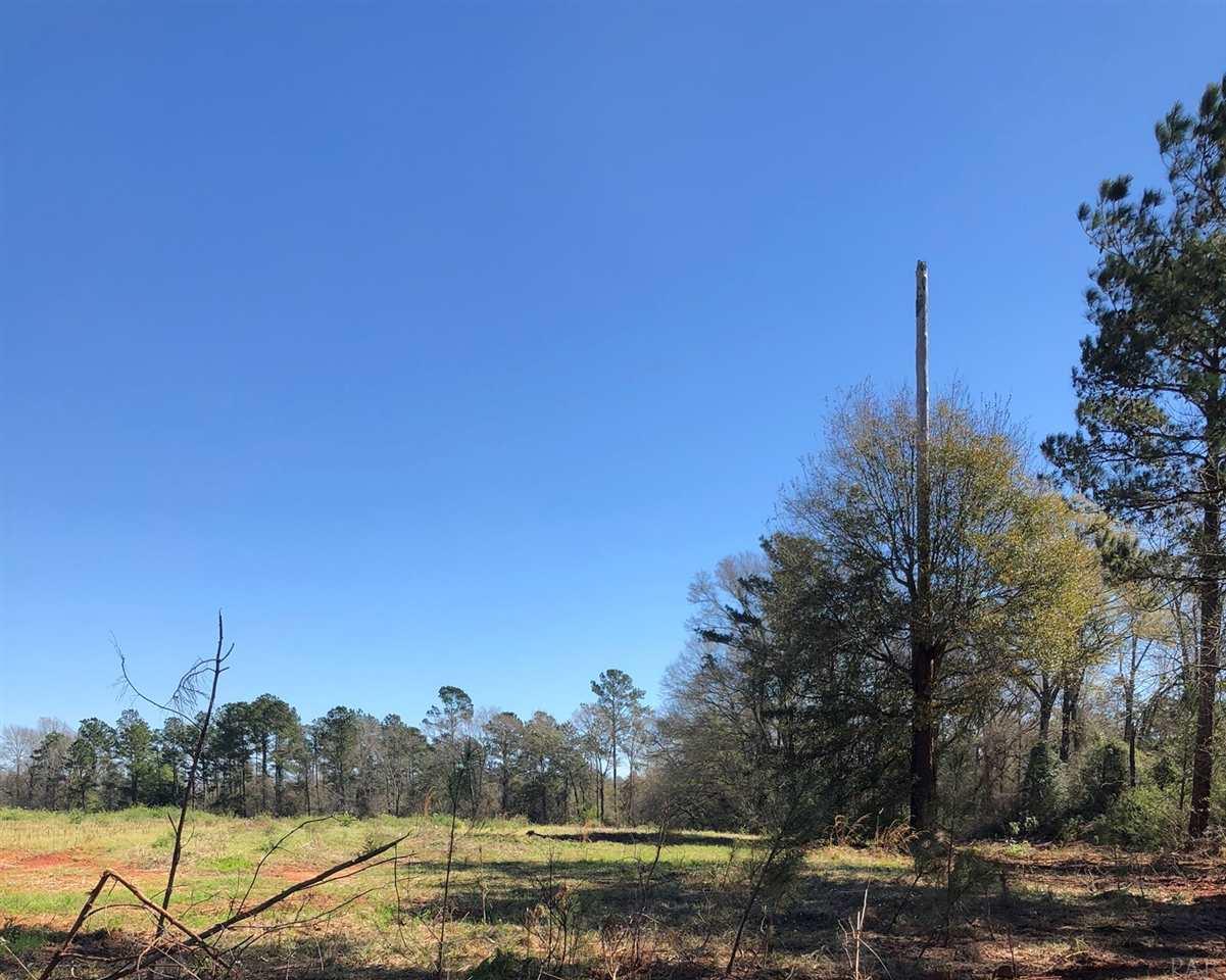 0 Whispering Pine Road Brewton, AL 36426 - Photo 10 of 27