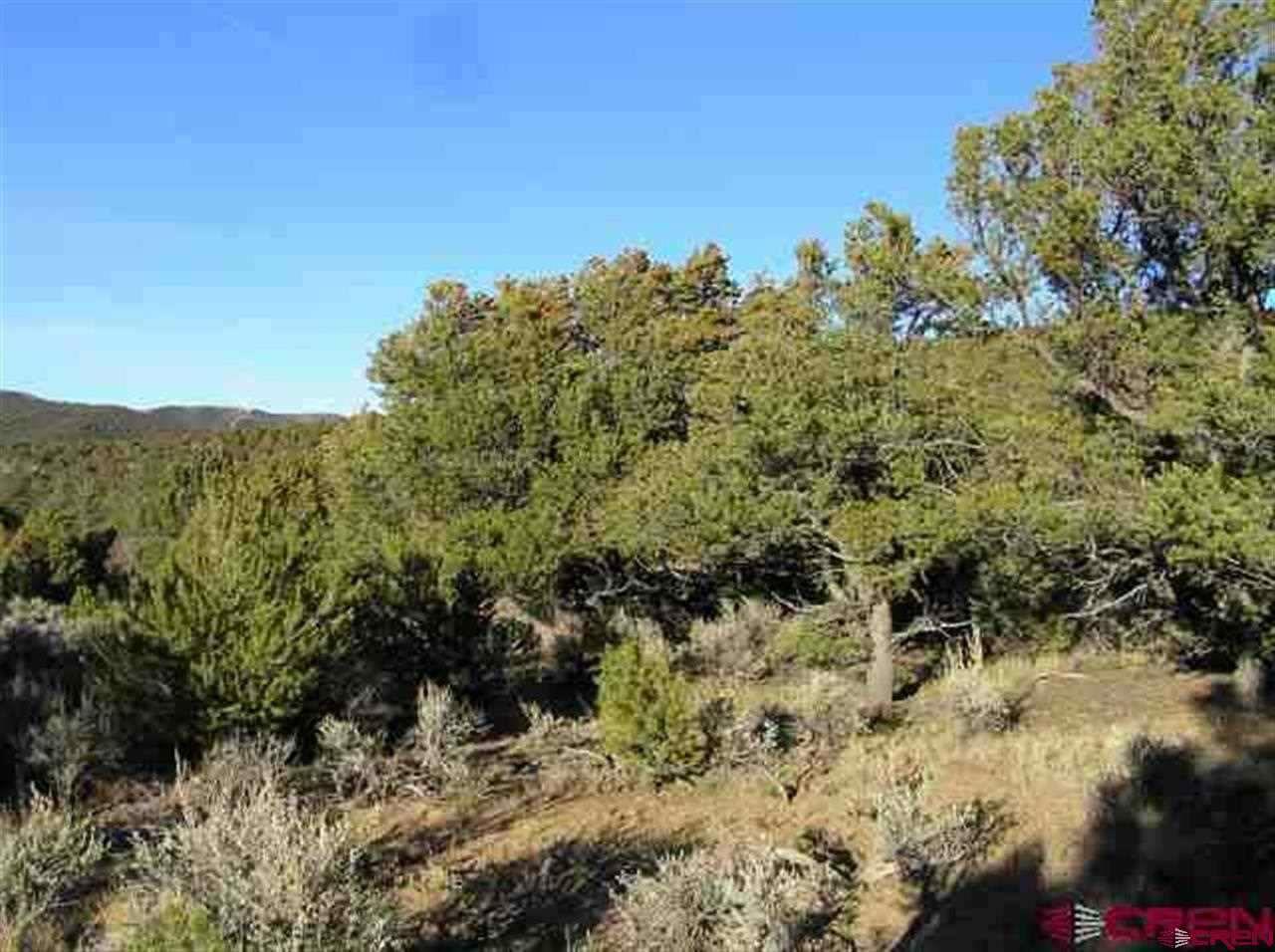 7830 Malott Road Fort Garland, CO 81133 - Photo 1 of 7 Gallery Image 1