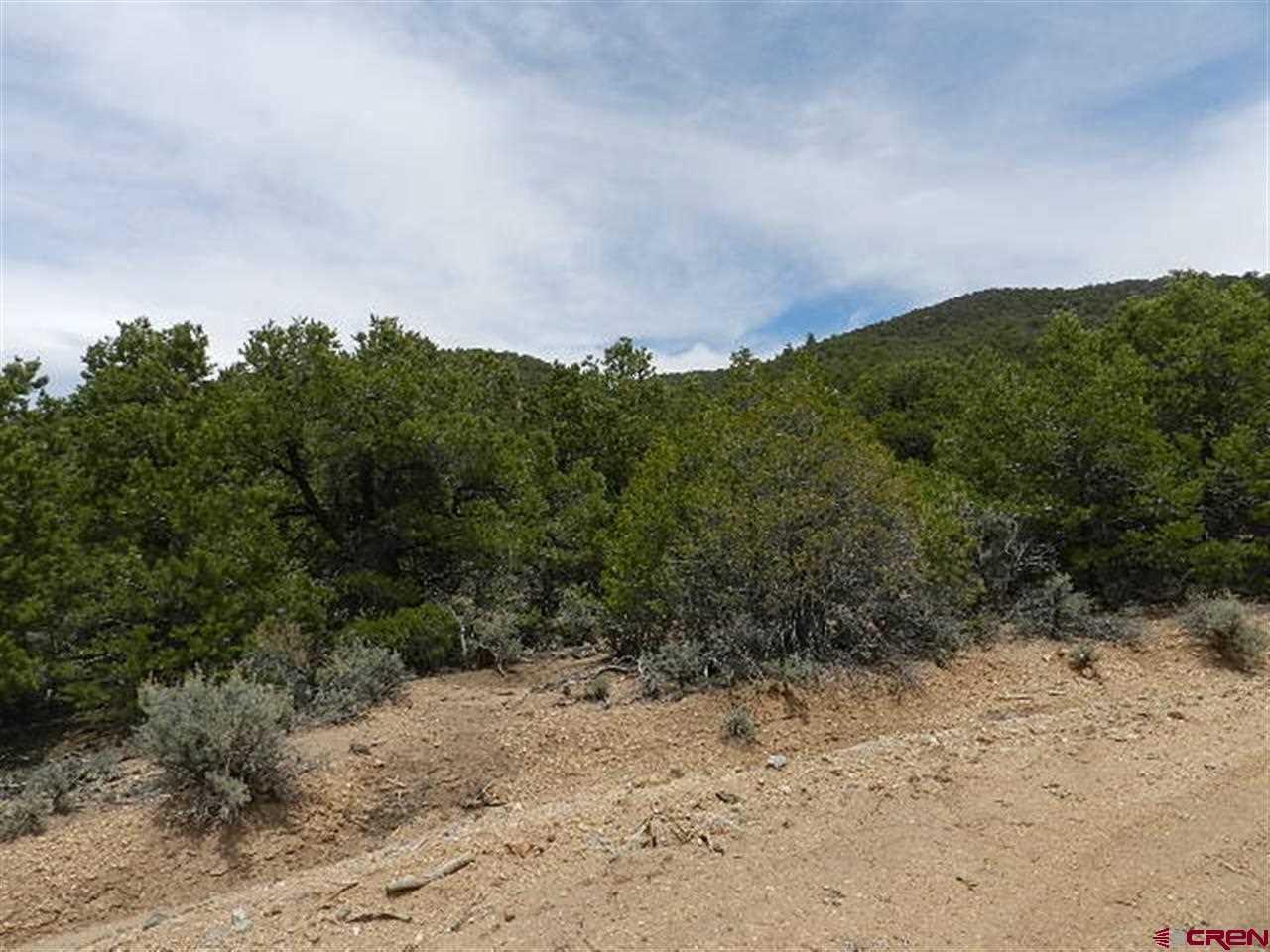 7830 Malott Road Fort Garland, CO 81133 - Photo 3 of 7 Gallery Image 3