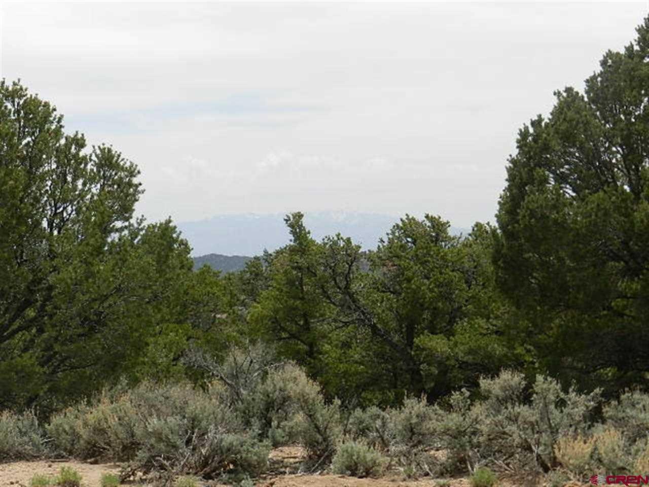 7830 Malott Road Fort Garland, CO 81133 - Photo 5 of 7 Gallery Image 5