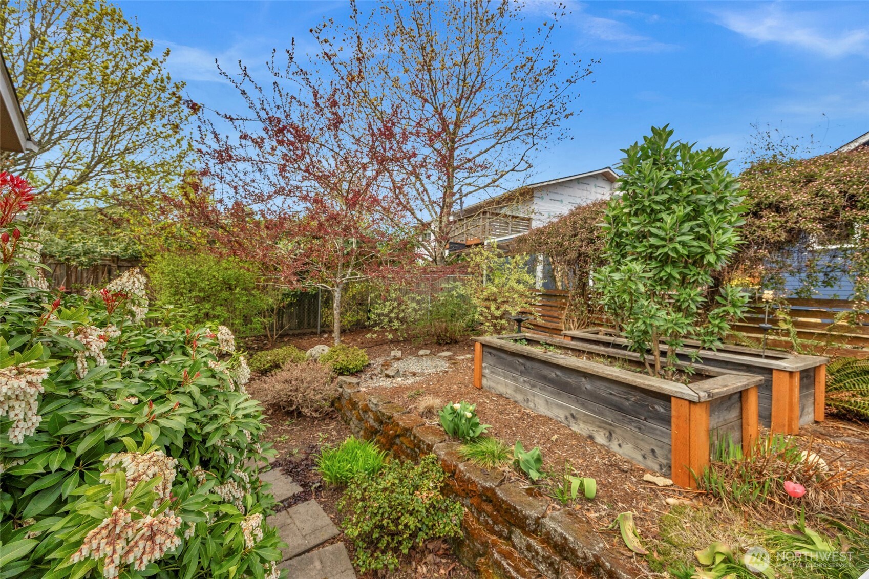 3539 Southwest 100th Street Seattle, WA 98146 - Photo 3 of 32 a view of a yard with plants