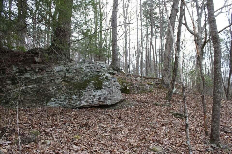 412 Tall Tree Trail Dunlap, TN 37327 - Photo 26 of 76 TT26