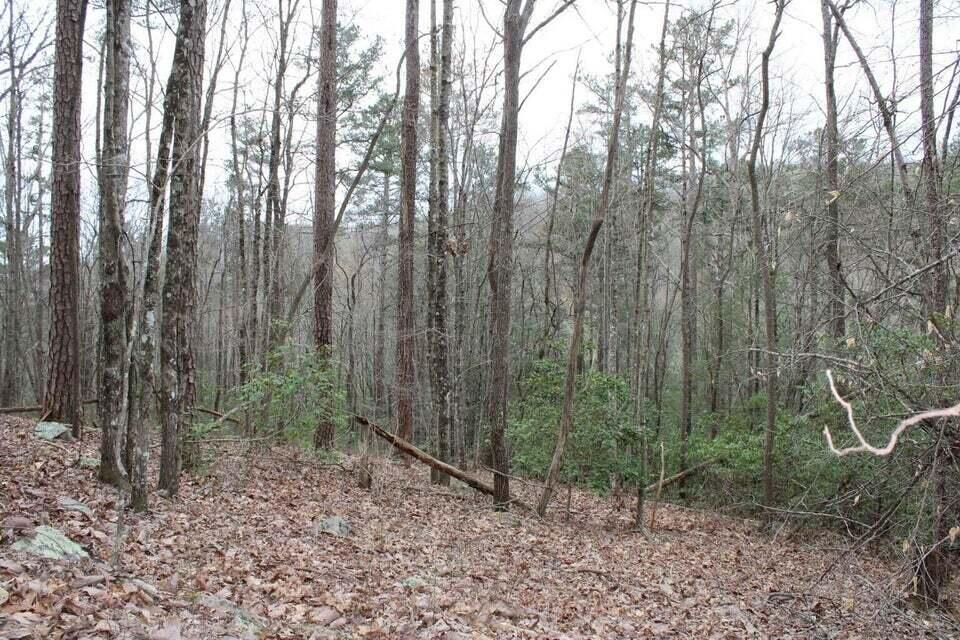 412 Tall Tree Trail Dunlap, TN 37327 - Photo 31 of 76 TT31