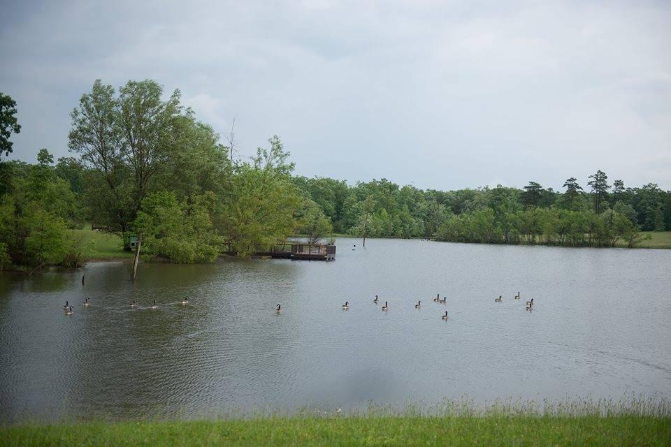 412 Tall Tree Trail Dunlap, TN 37327 - Photo 57 of 76 TT57