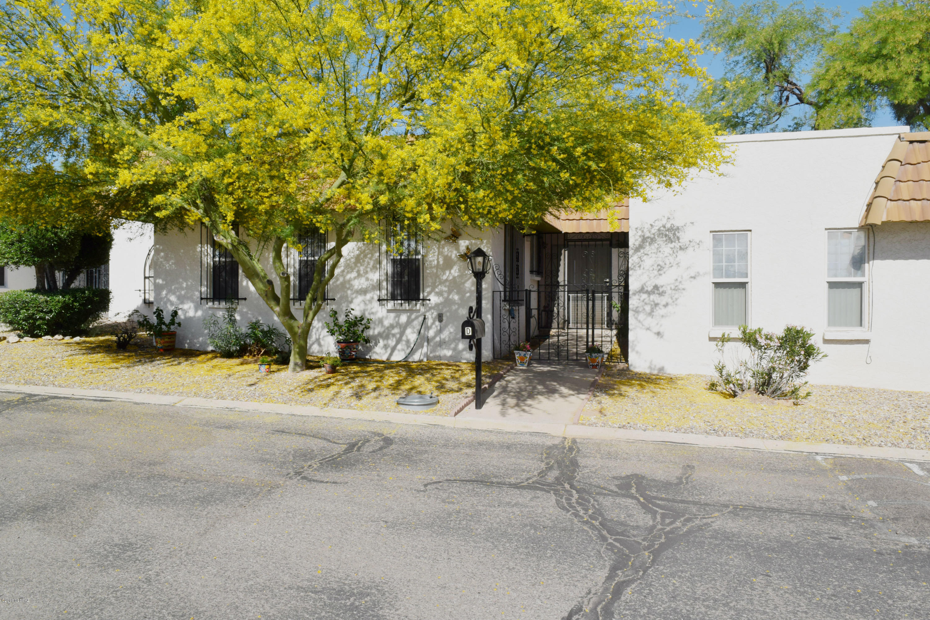 660 East River Road, Unit D Tucson, AZ 85704 - Photo 1 of 20 Gallery Image 1