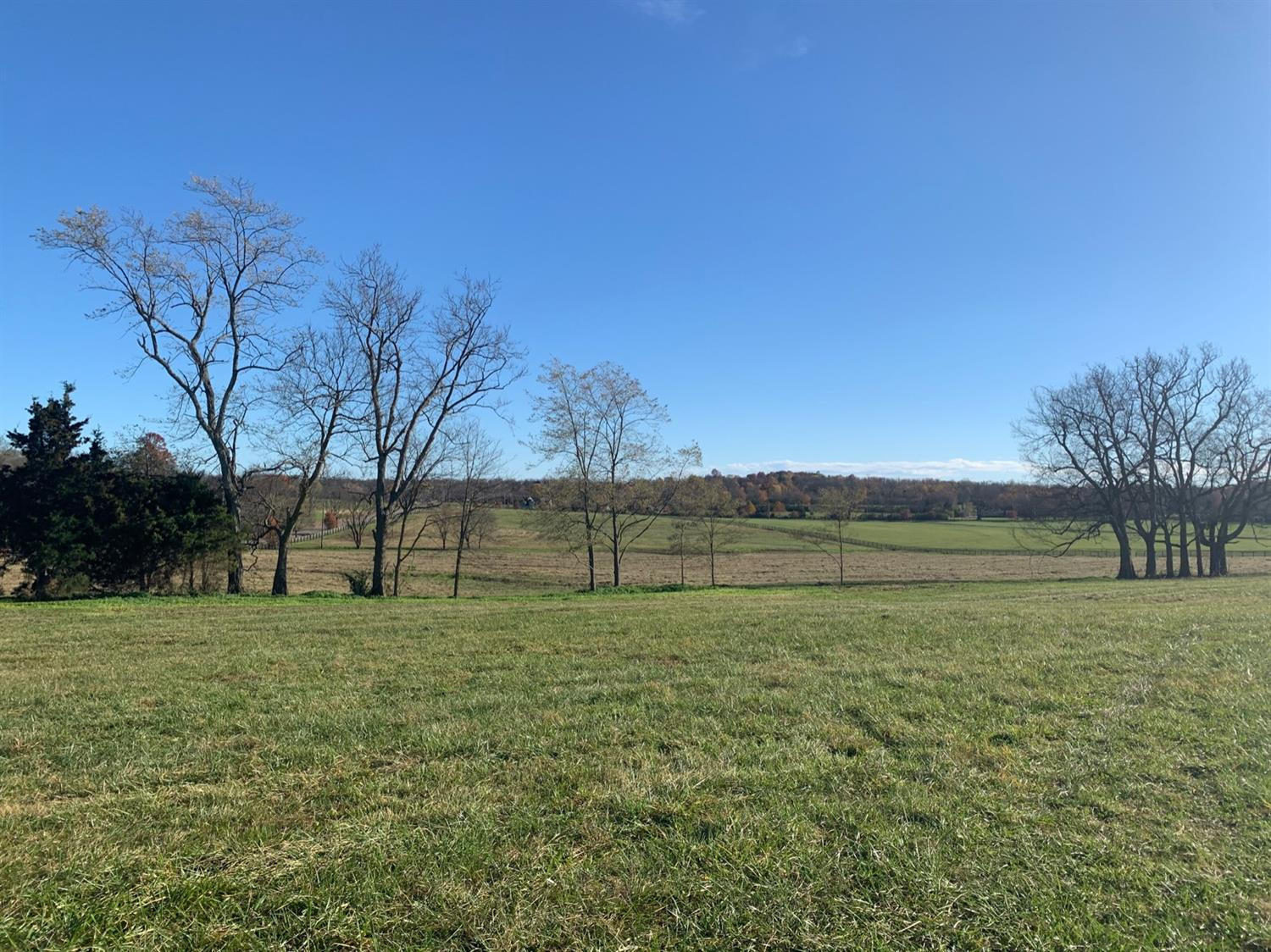 100 Clear Creek Road Versailles, KY 40383 - Photo 6 of 16 Photo 6