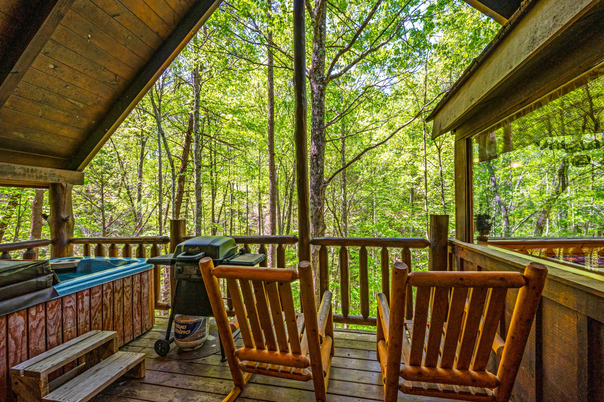 4203 Alpine Rdg Way Sevierville, TN 37876 - Photo 16 of 19