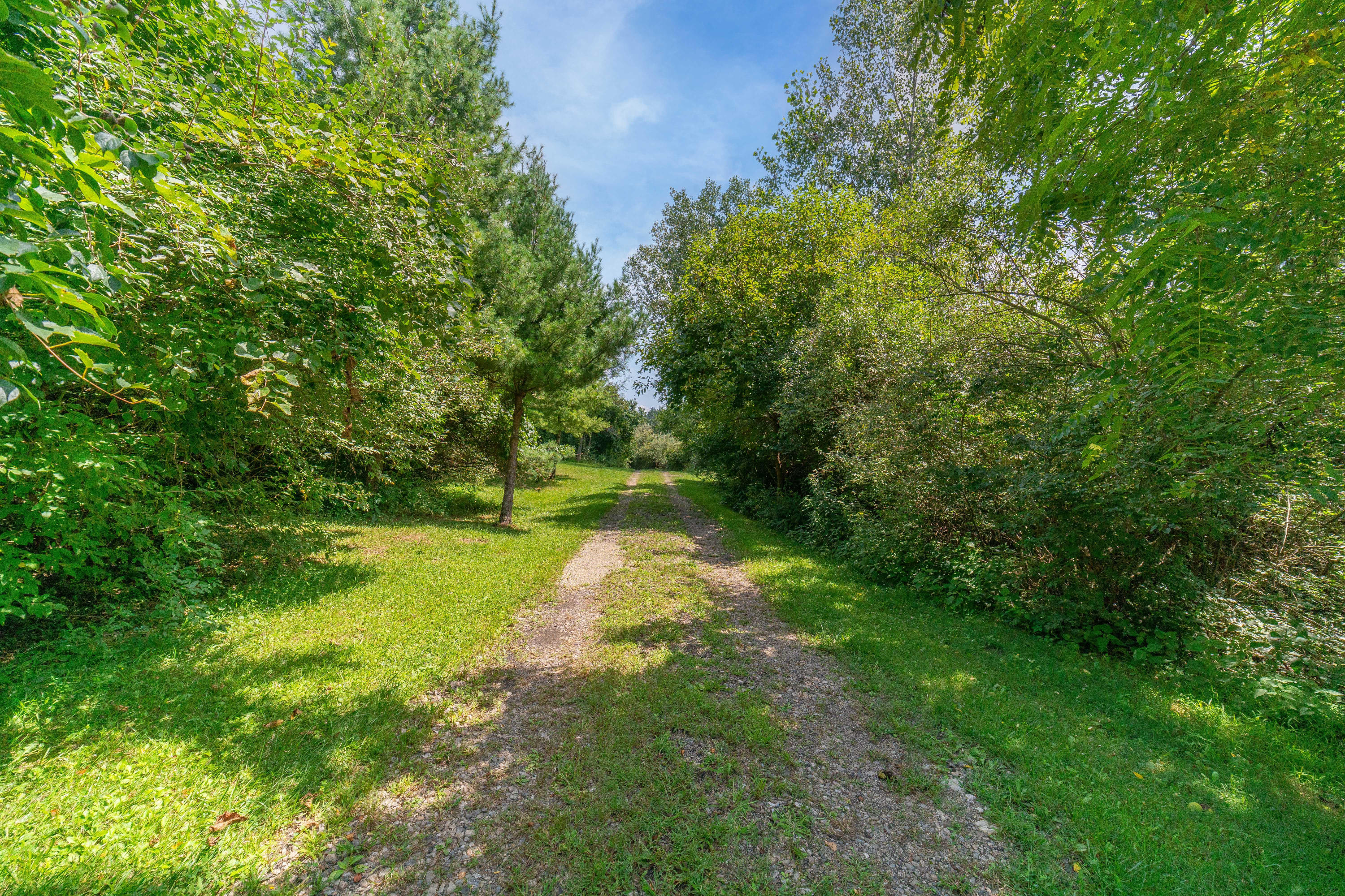 5260 Flatfoot Road Cable, OH 43009 - Photo 13 of 93