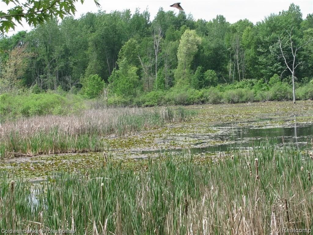 Vl Jones Road North Branch, MI 48461 - Photo 2 of 10 Gallery Image 2