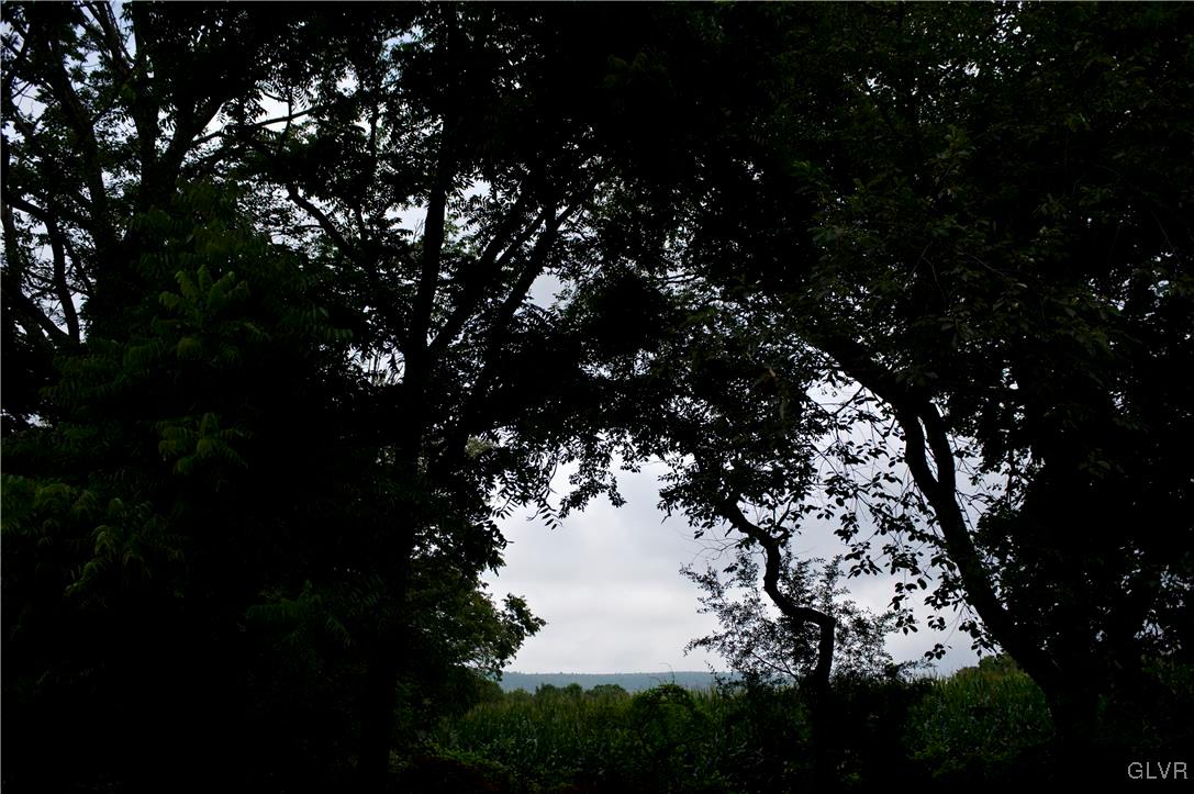 214 Ruth Road Bath, PA 18014 - Photo 23 of 25 a view of tree