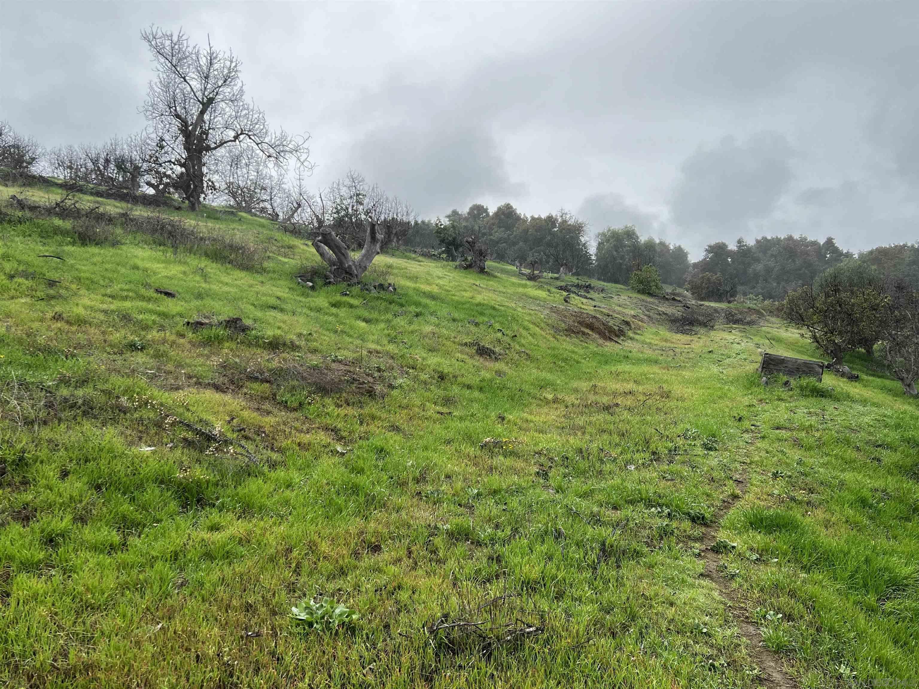 0 Pauma Heights Road Valley Center, CA 92082 - Photo 11 of 20 a big yard with lots of green space and deers