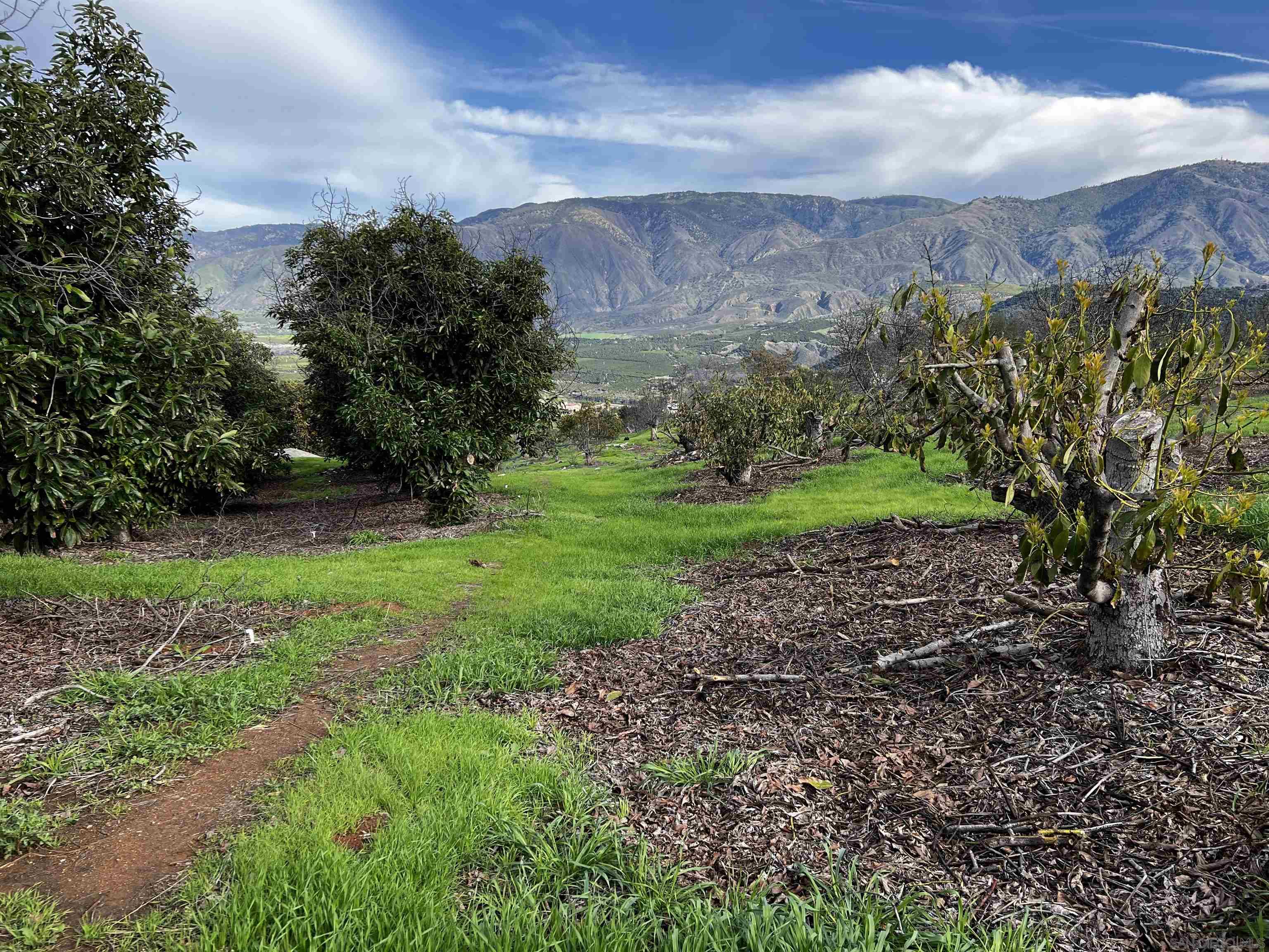 0 Pauma Heights Road Valley Center, CA 92082 - Photo 12 of 20 a view of a garden with mountains in the background