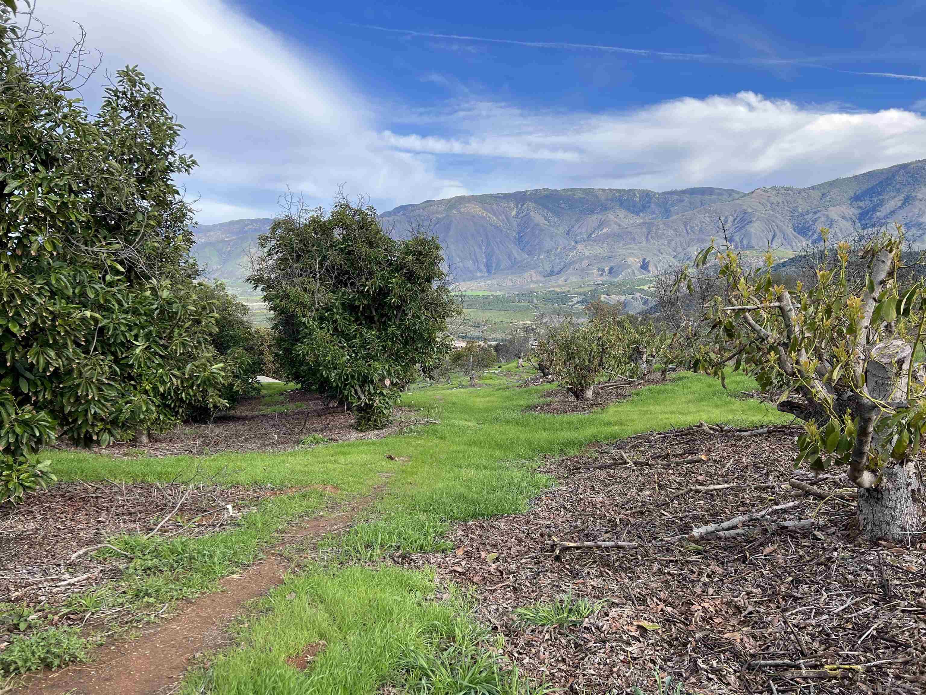0 Pauma Heights Road Valley Center, CA 92082 - Photo 13 of 20 a view of a garden with plants and large trees