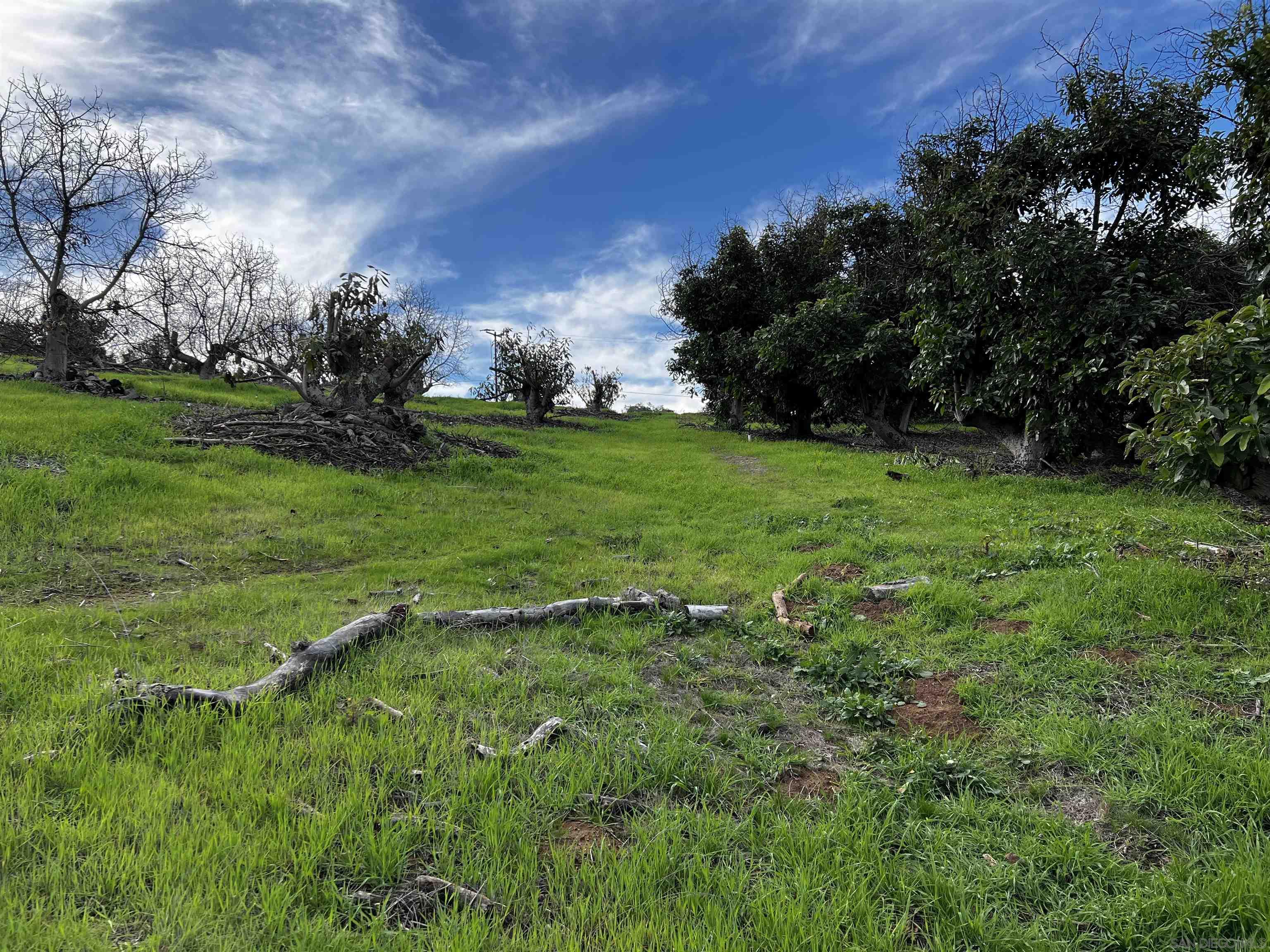 0 Pauma Heights Road Valley Center, CA 92082 - Photo 15 of 20 a view of a field with large trees