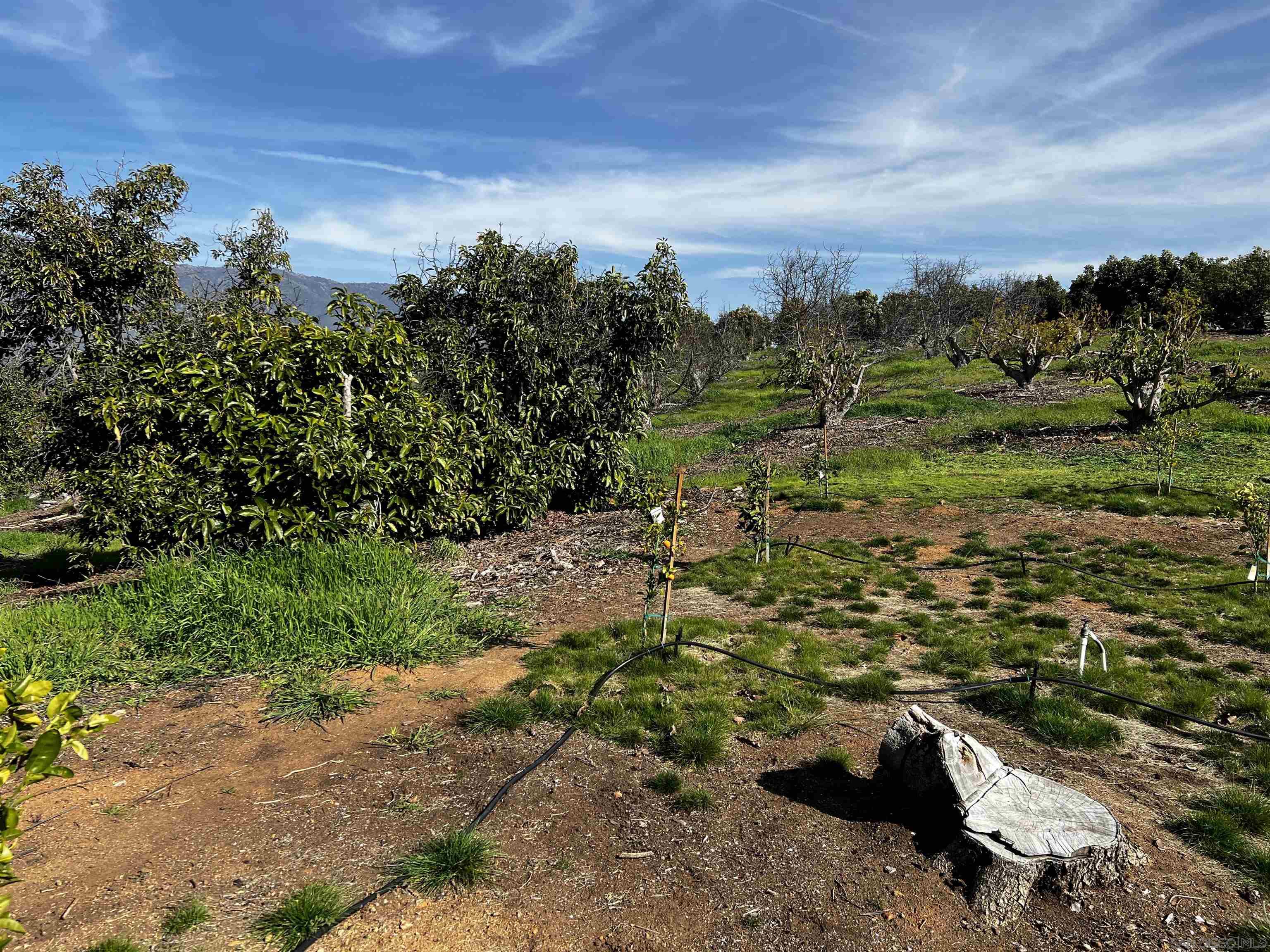 0 Pauma Heights Road Valley Center, CA 92082 - Photo 17 of 20 a view of a pathway with a garden