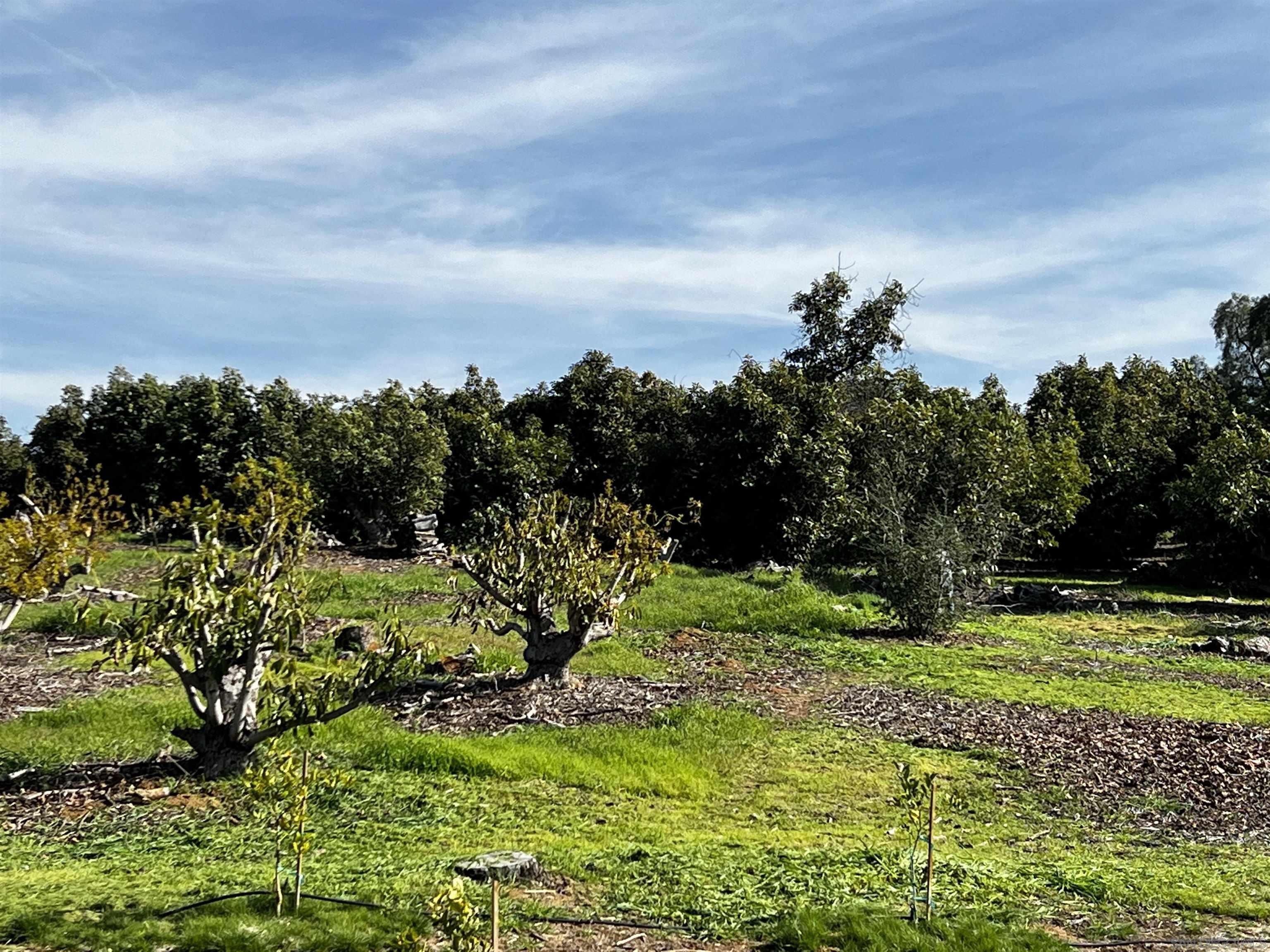 0 Pauma Heights Road Valley Center, CA 92082 - Photo 20 of 20 a view of a garden with a flower garden