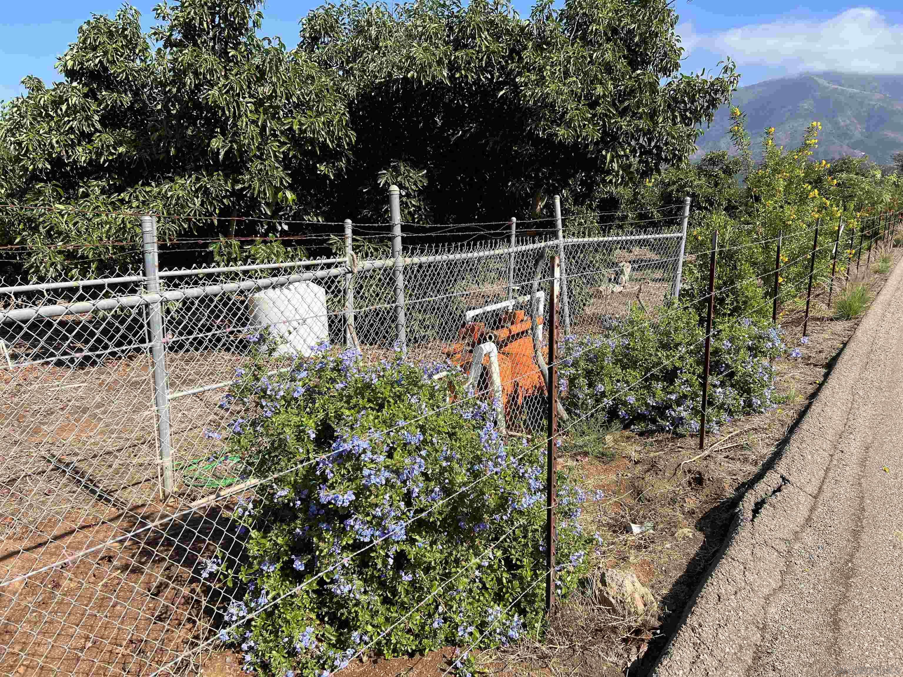 0 Pauma Heights Road Valley Center, CA 92082 - Photo 4 of 20 a view of a backyard