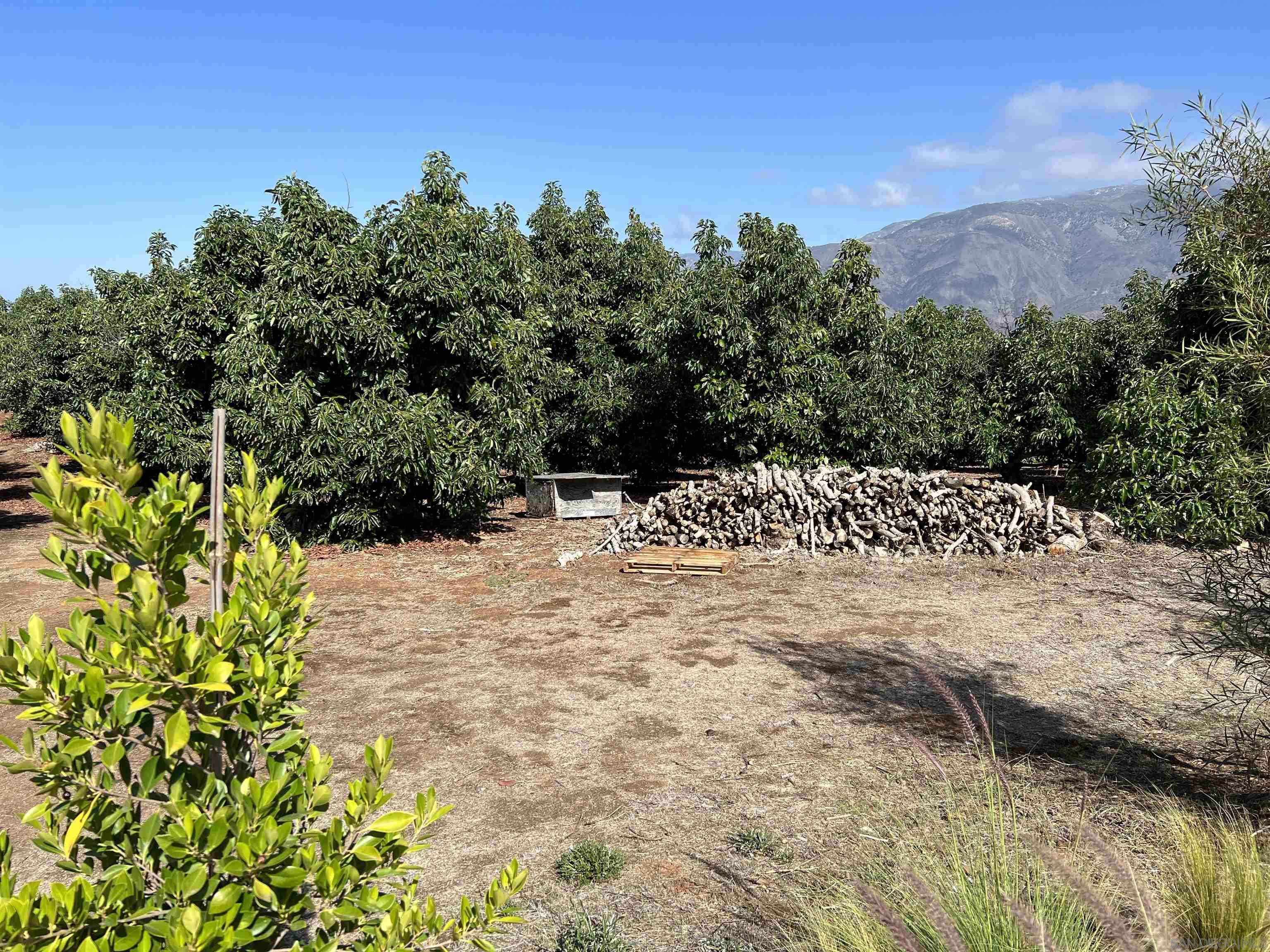 0 Pauma Heights Road Valley Center, CA 92082 - Photo 6 of 20 a view of outdoor space and yard