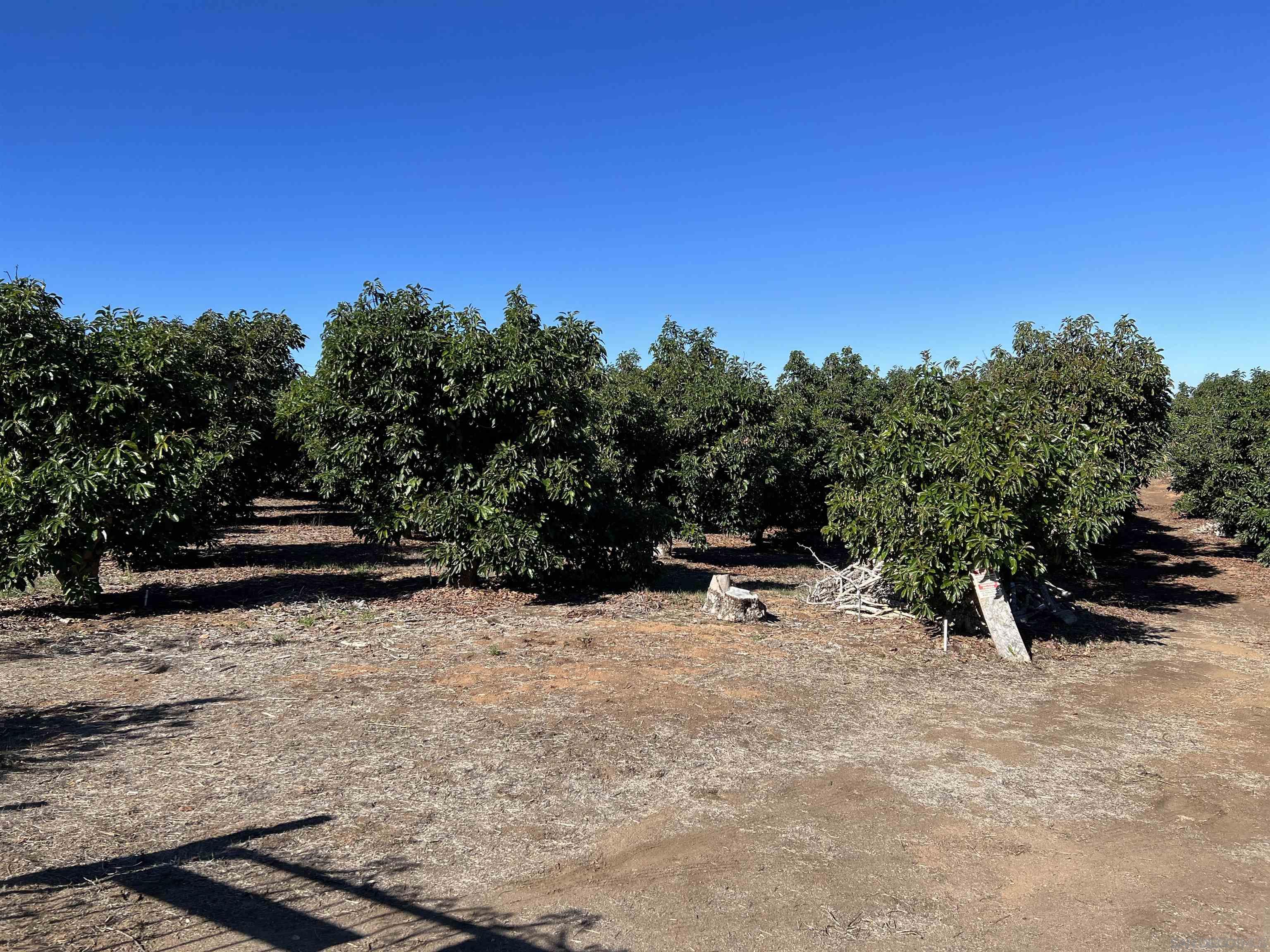 0 Pauma Heights Road Valley Center, CA 92082 - Photo 9 of 20 a view of outdoor space with wooden fence