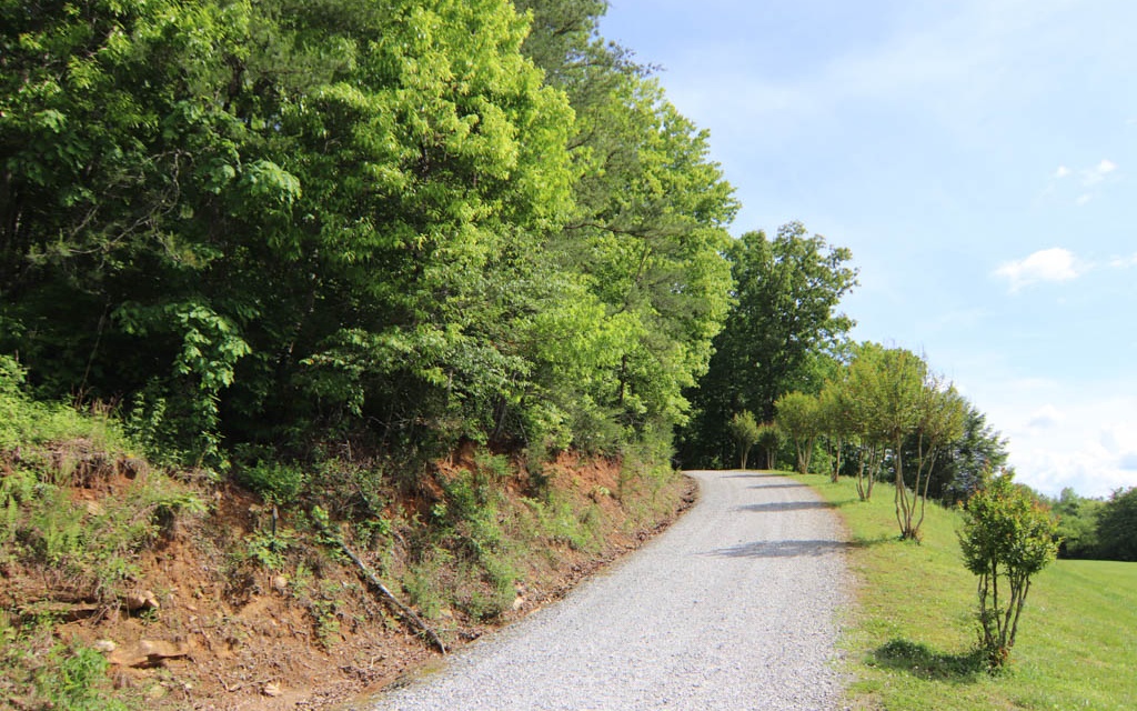 5-ac Sunrise Road Blue Ridge, GA 30513 - Photo 1 of 1 Main View