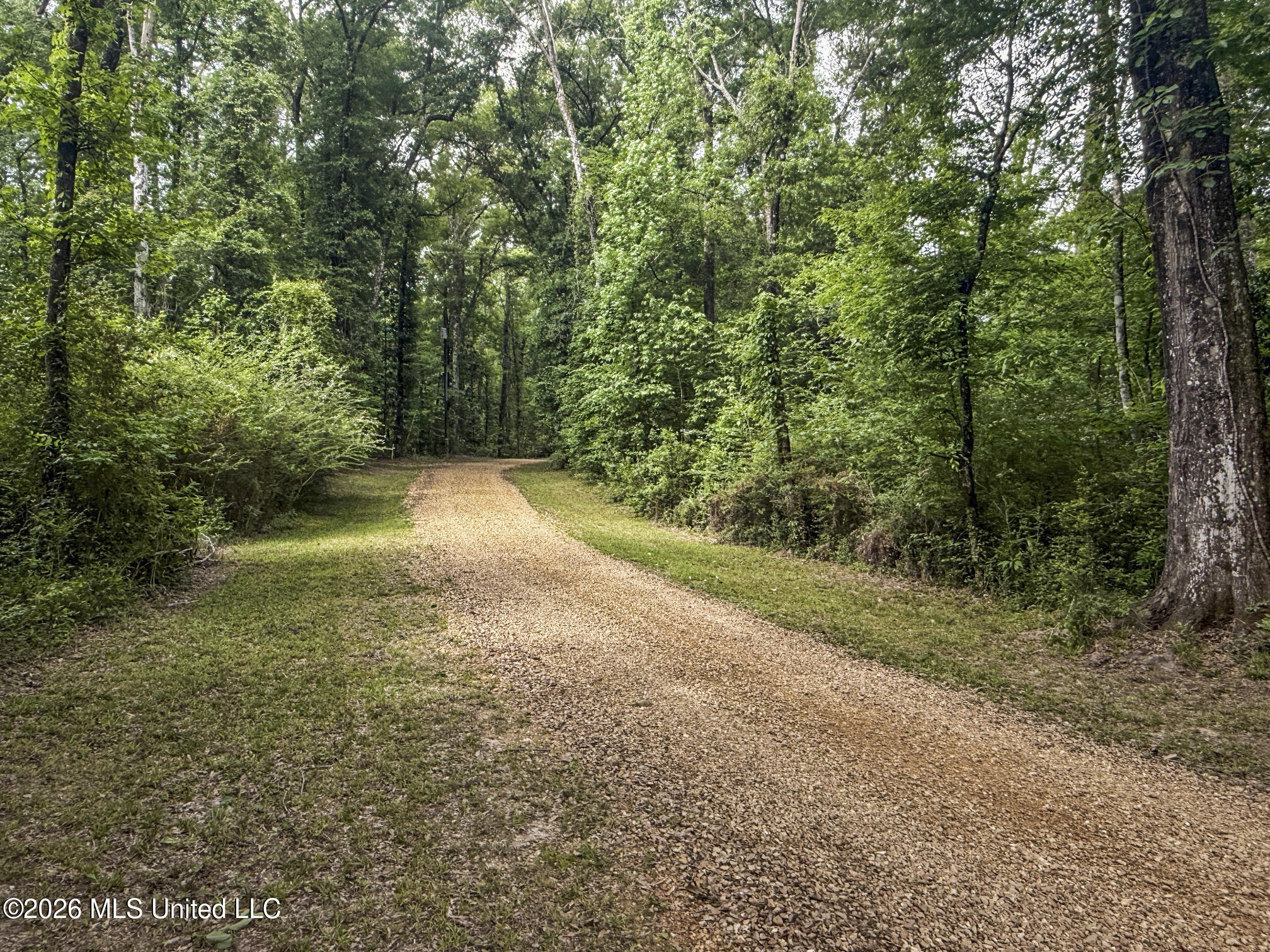 3195 Leatherwood Road Tylertown, MS 39667 - Photo 24 of 58 IMG_3210