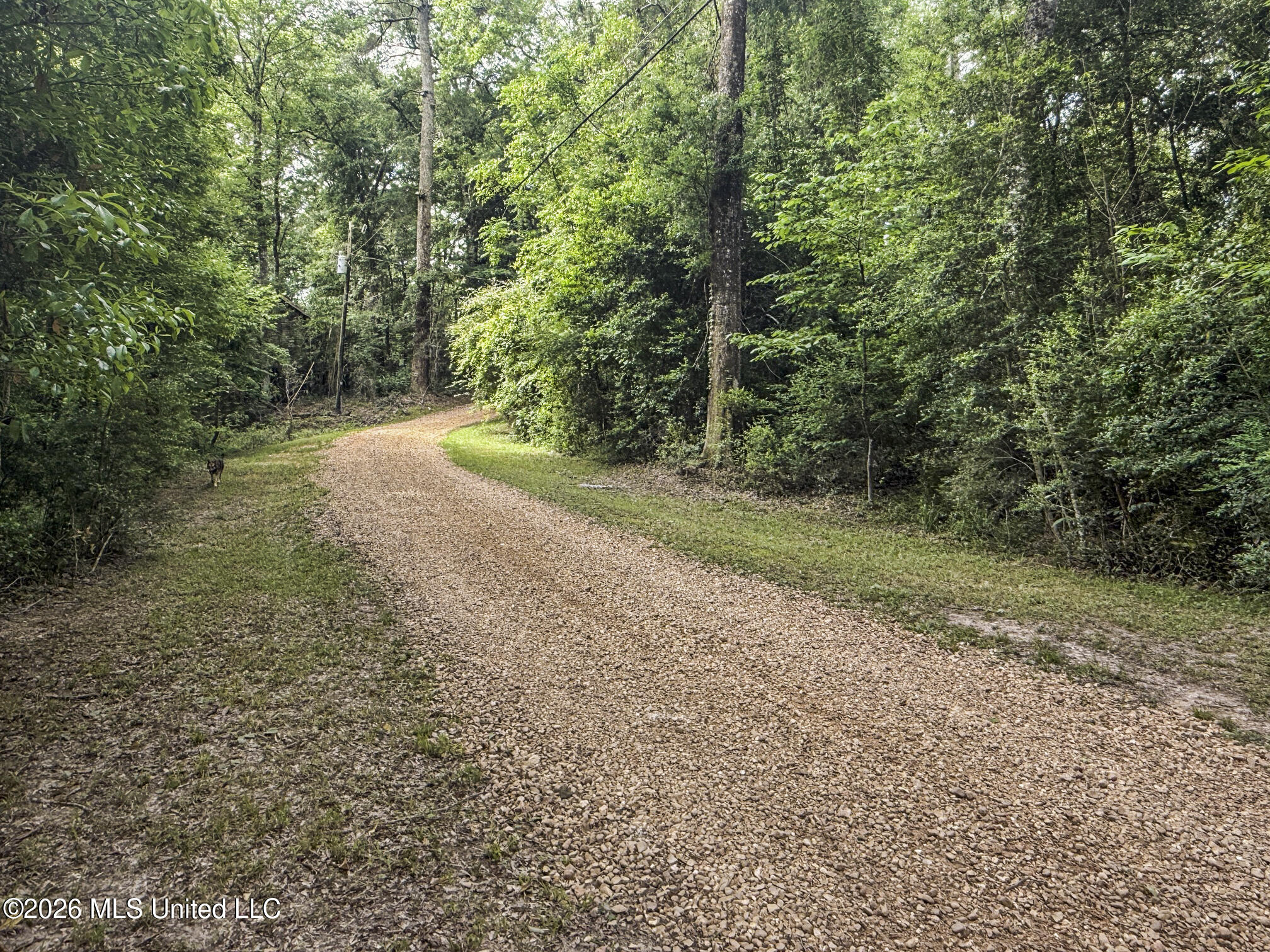 3195 Leatherwood Road Tylertown, MS 39667 - Photo 25 of 58 IMG_3211