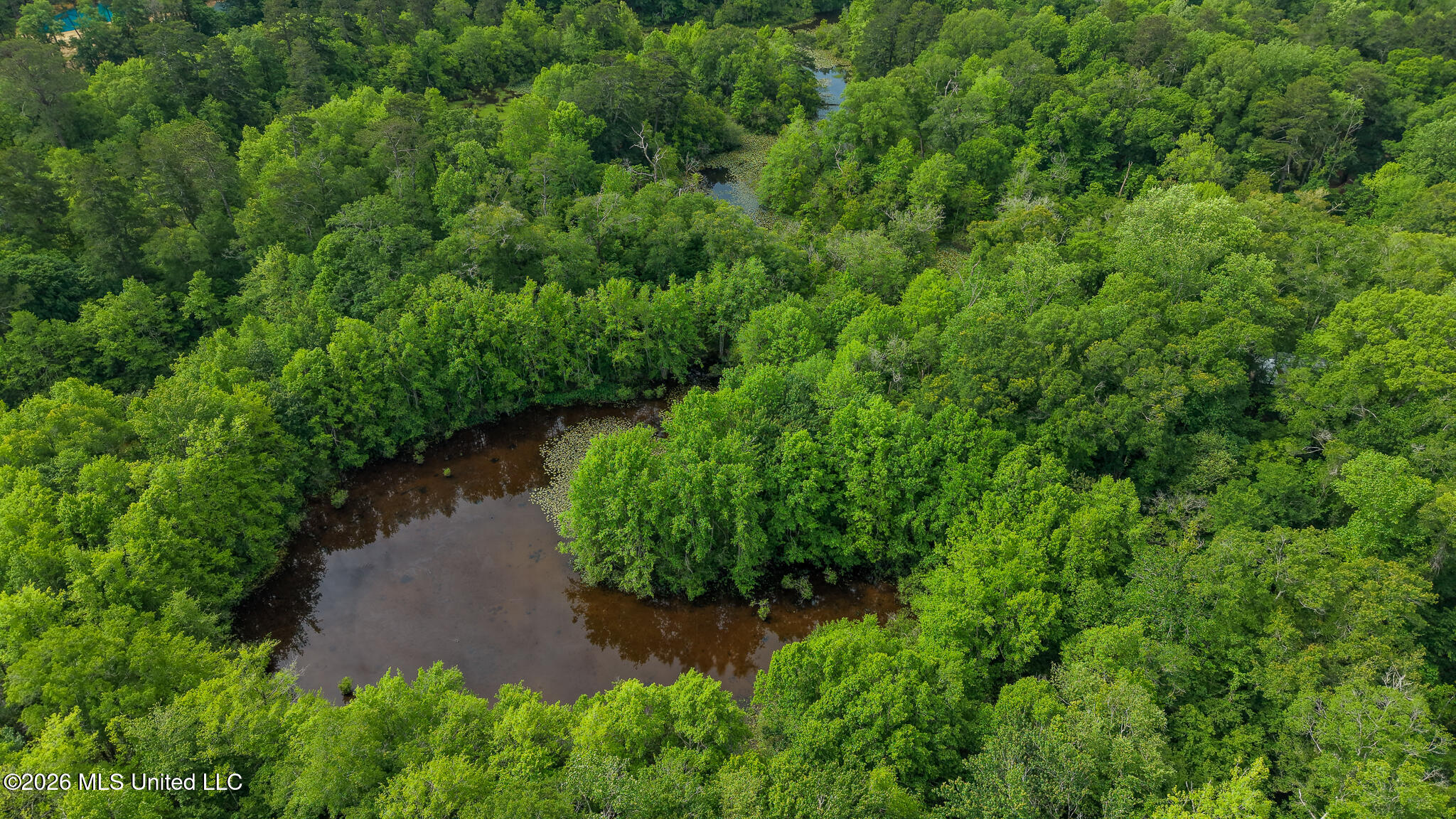 3195 Leatherwood Road Tylertown, MS 39667 - Photo 30 of 58 DJI_20260421103039_0122_D