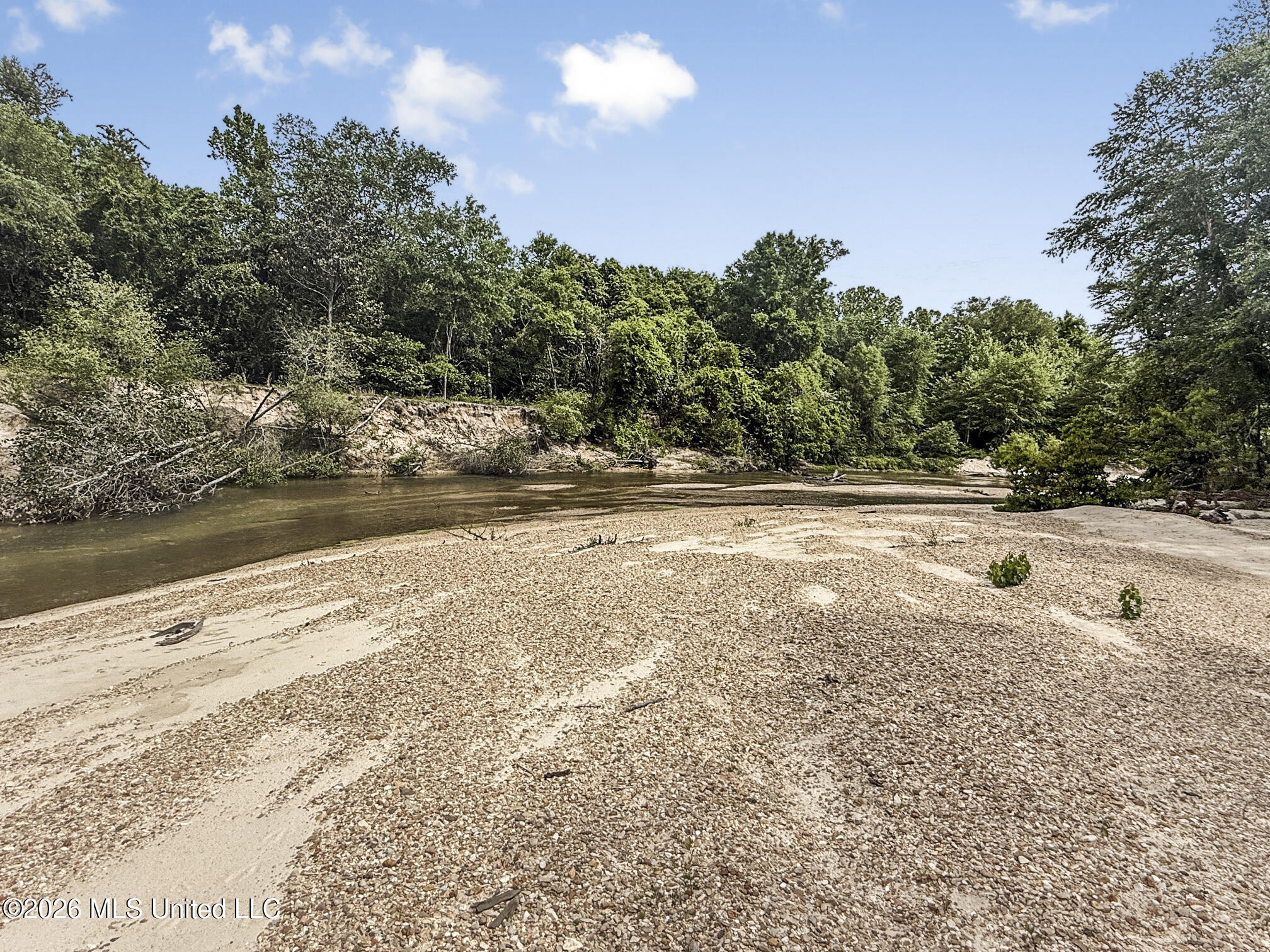3195 Leatherwood Road Tylertown, MS 39667 - Photo 3 of 58 IMG_3234