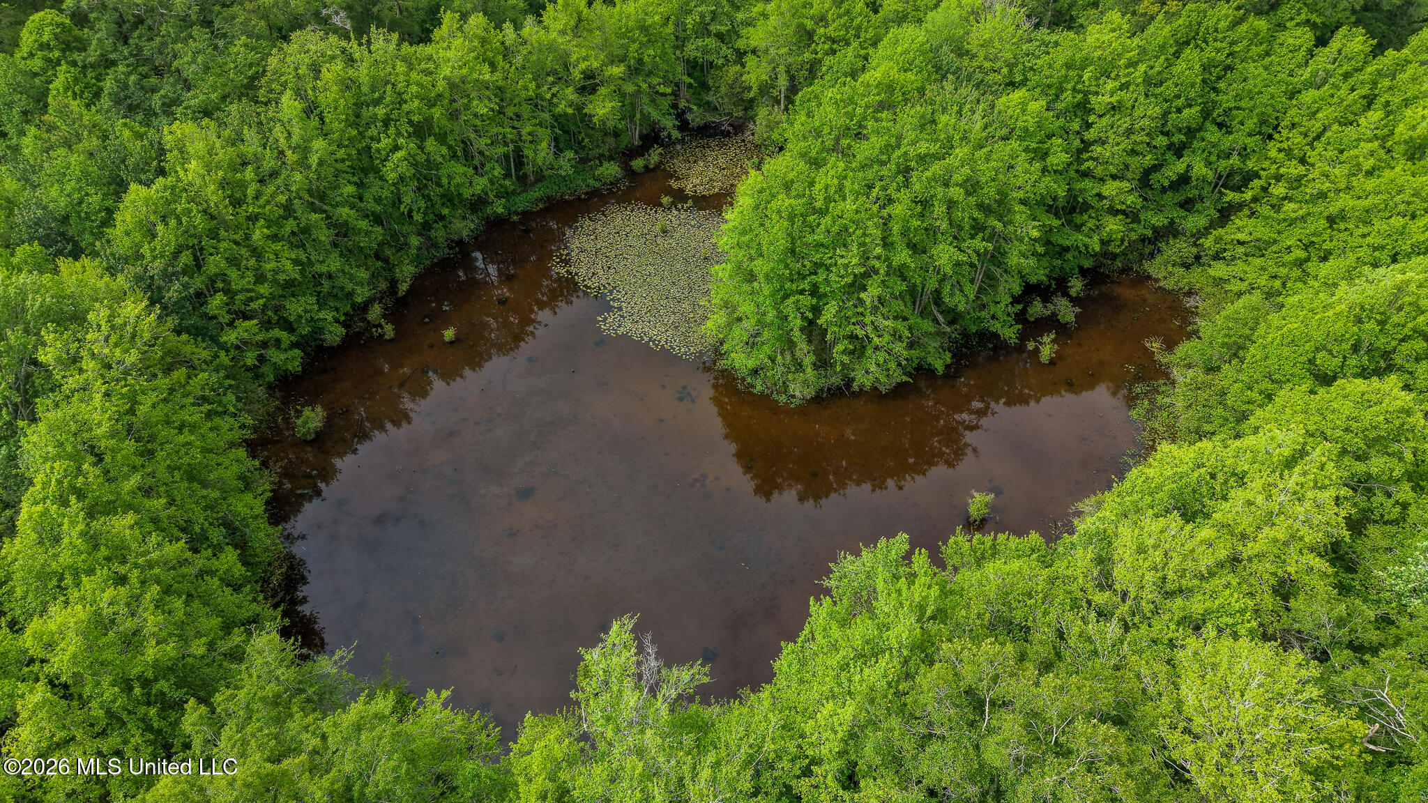 3195 Leatherwood Road Tylertown, MS 39667 - Photo 31 of 58 DJI_20260421103059_0123_D