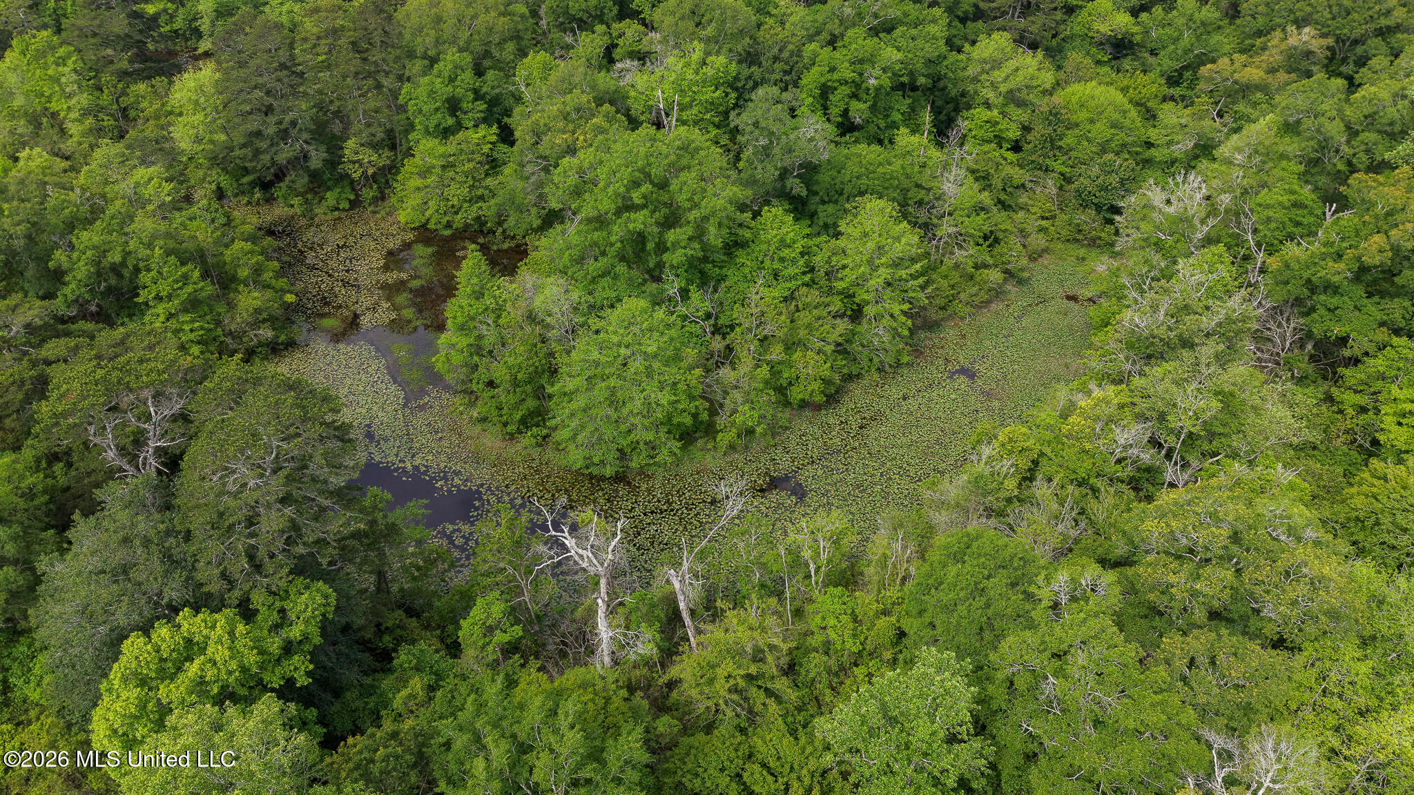3195 Leatherwood Road Tylertown, MS 39667 - Photo 32 of 58 DJI_20260421103230_0128_D