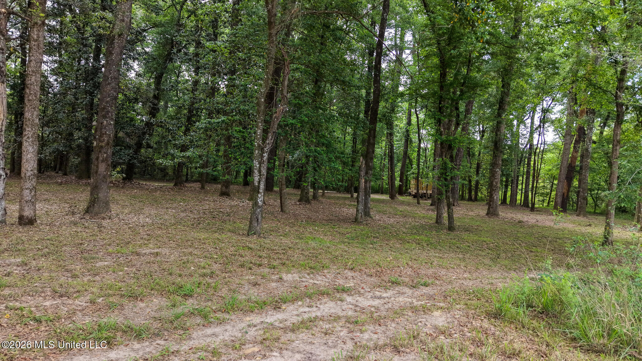 3195 Leatherwood Road Tylertown, MS 39667 - Photo 37 of 58 DJI_20260421103803_0140_D