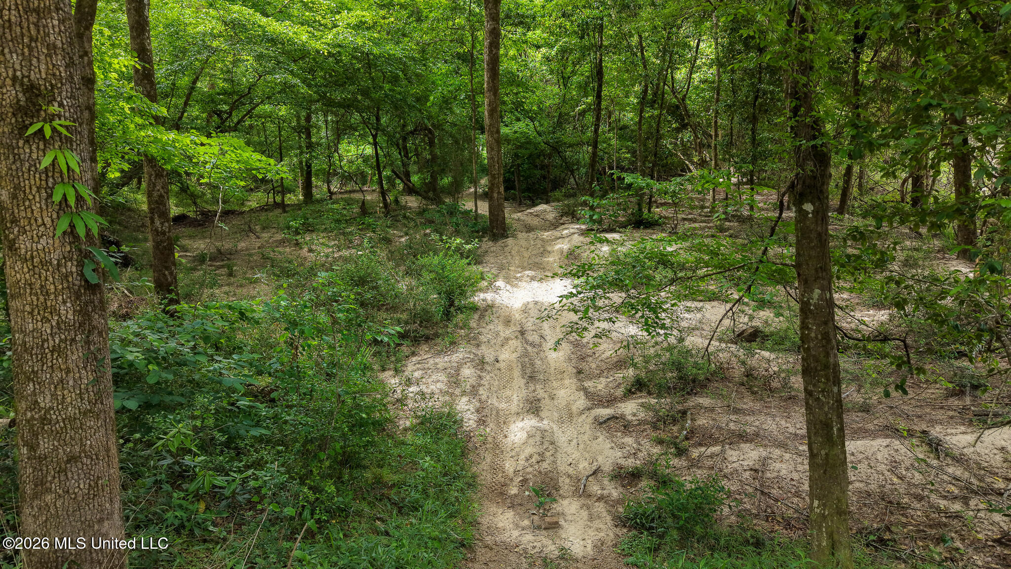 3195 Leatherwood Road Tylertown, MS 39667 - Photo 38 of 58 DJI_20260421103939_0141_D