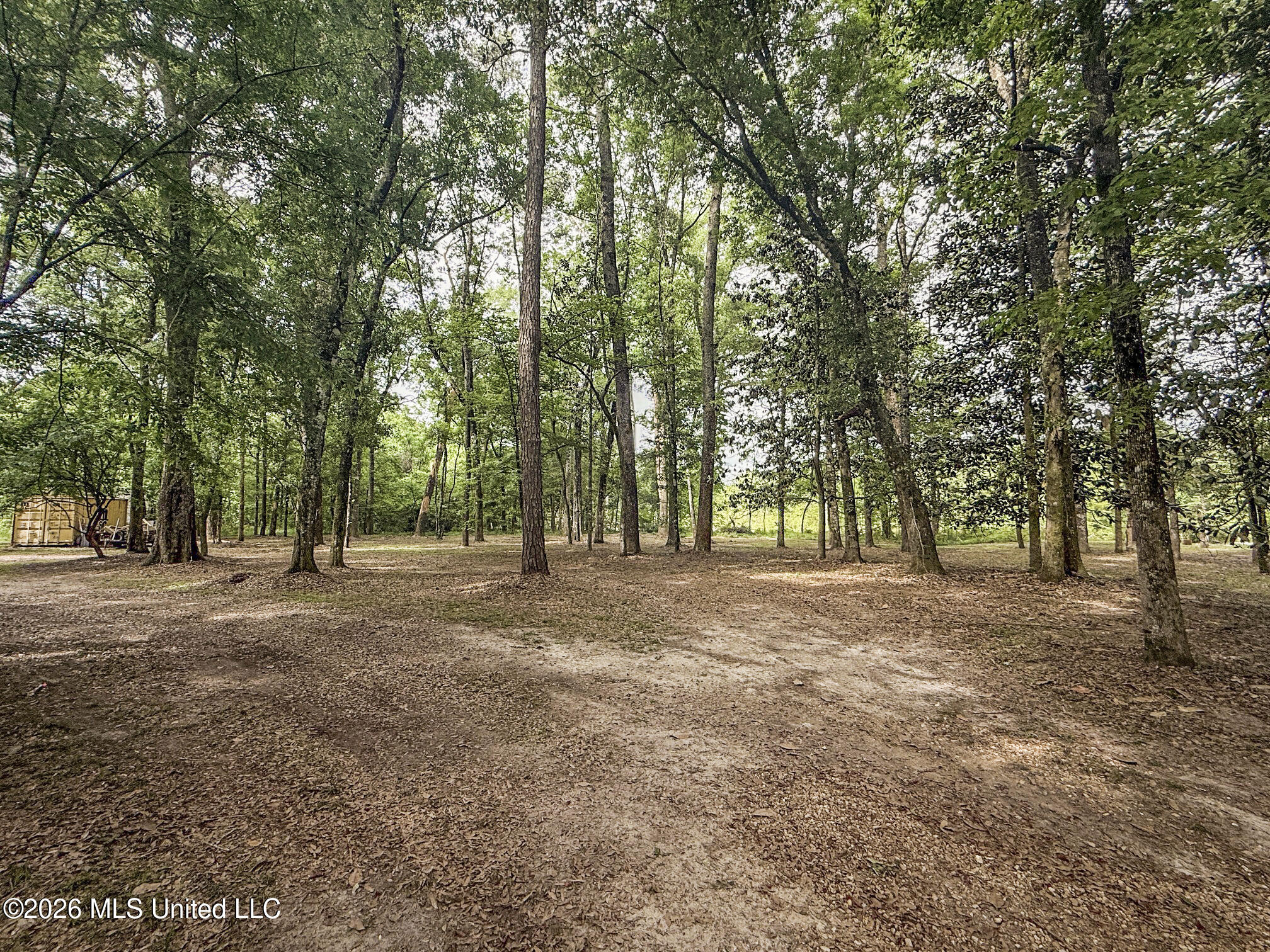 3195 Leatherwood Road Tylertown, MS 39667 - Photo 39 of 58 IMG_3212