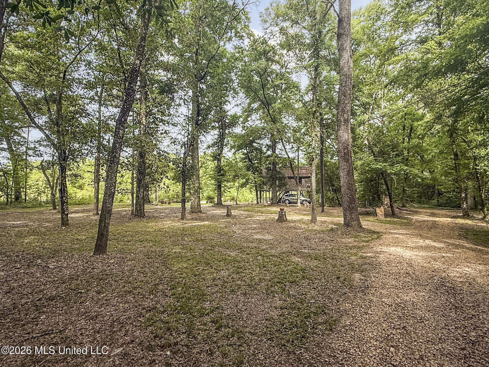 3195 Leatherwood Road Tylertown, MS 39667 - Photo 40 of 58 IMG_3213