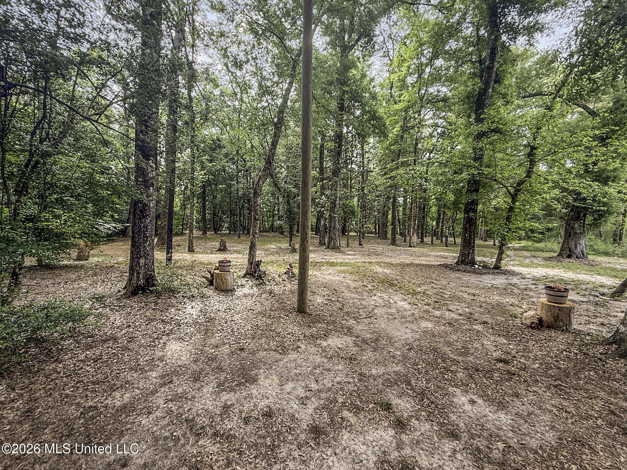 3195 Leatherwood Road Tylertown, MS 39667 - Photo 42 of 58 IMG_3215