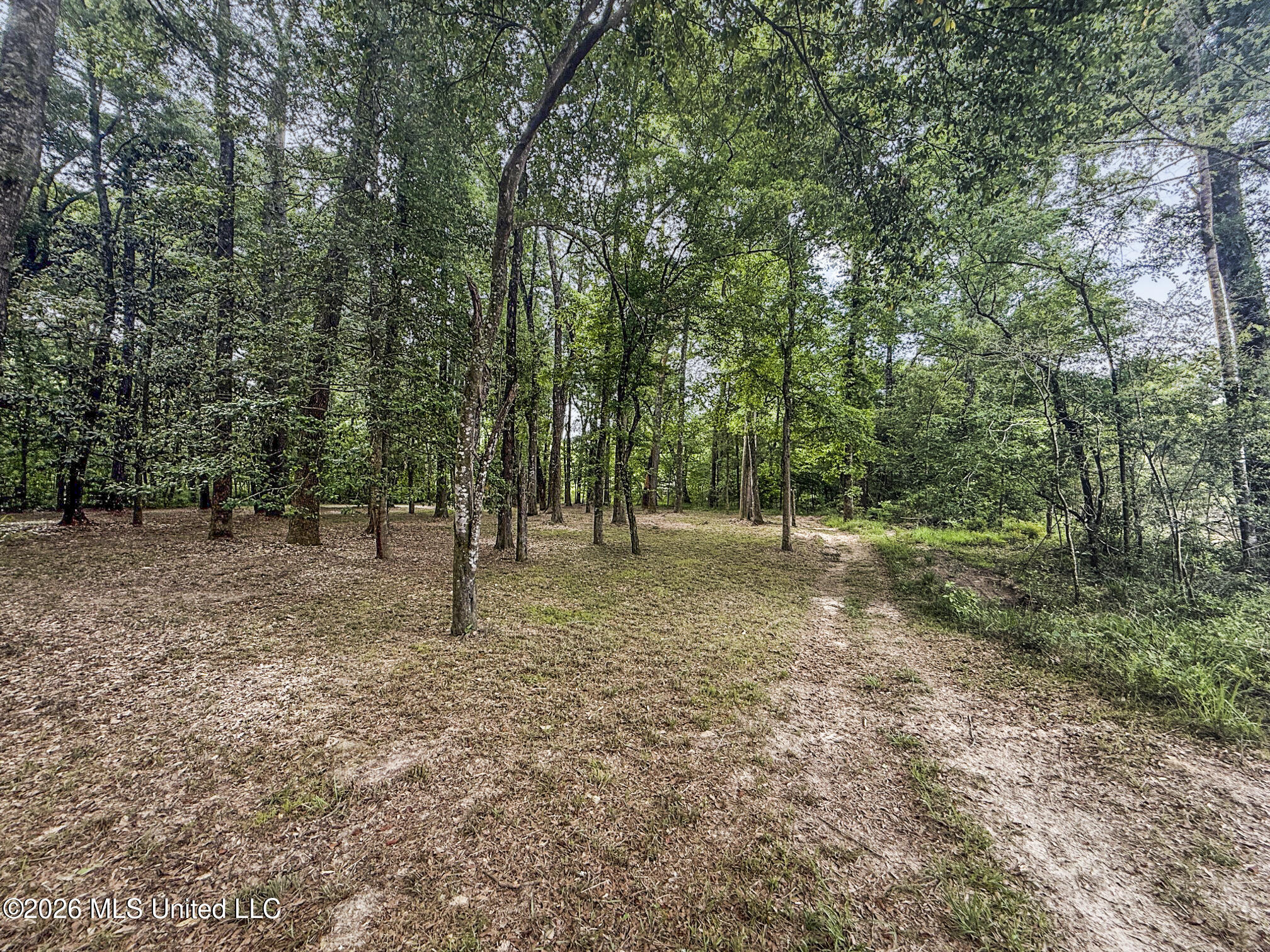 3195 Leatherwood Road Tylertown, MS 39667 - Photo 52 of 58 IMG_3225