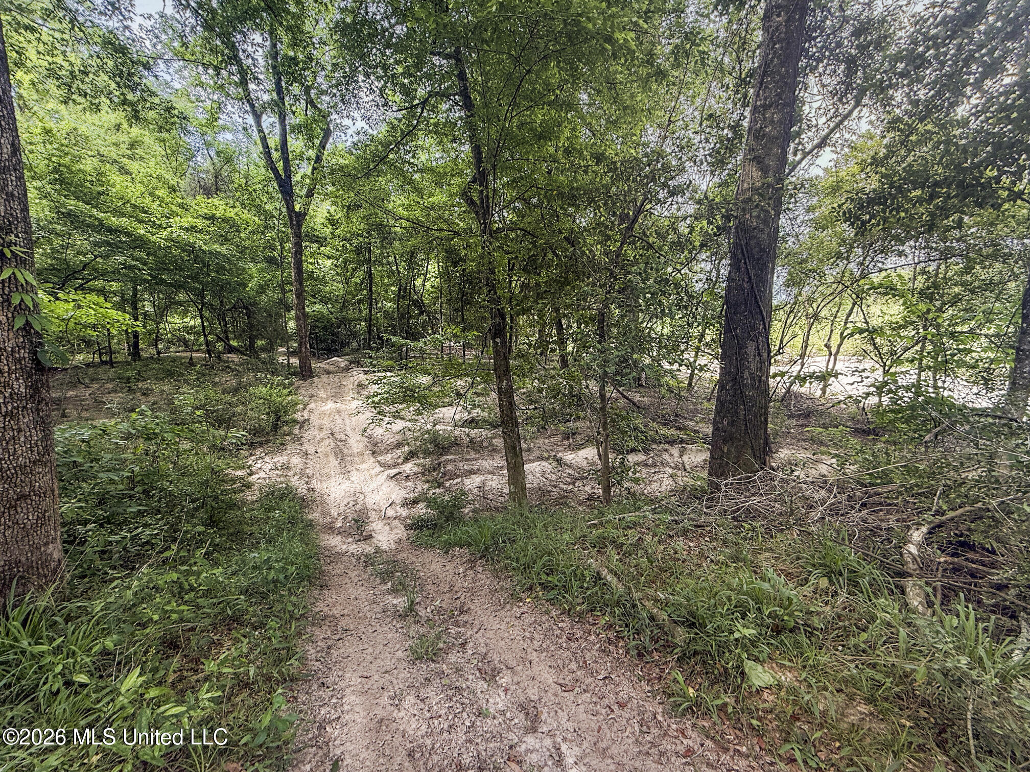 3195 Leatherwood Road Tylertown, MS 39667 - Photo 53 of 58 IMG_3226