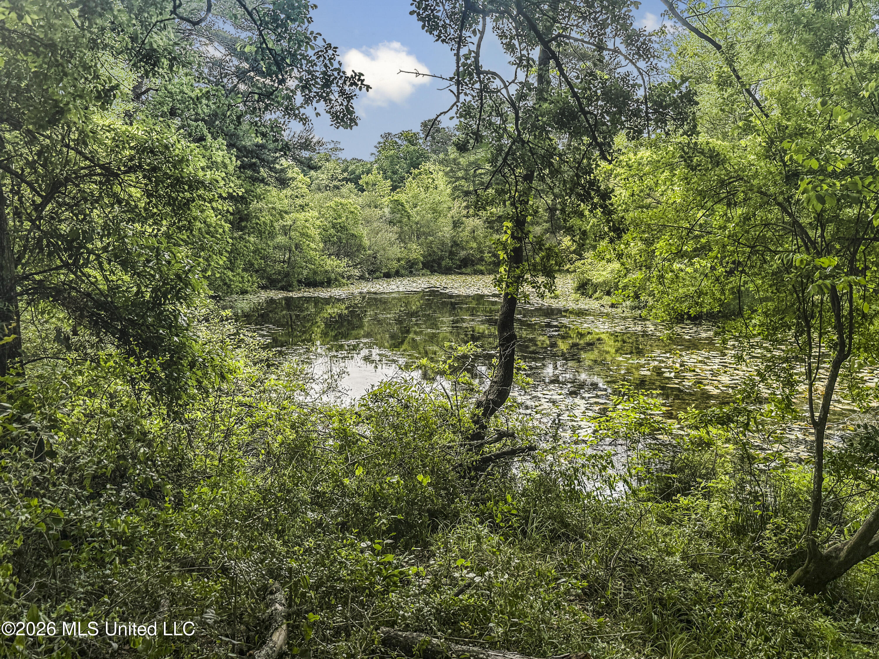 3195 Leatherwood Road Tylertown, MS 39667 - Photo 54 of 58 IMG_3227