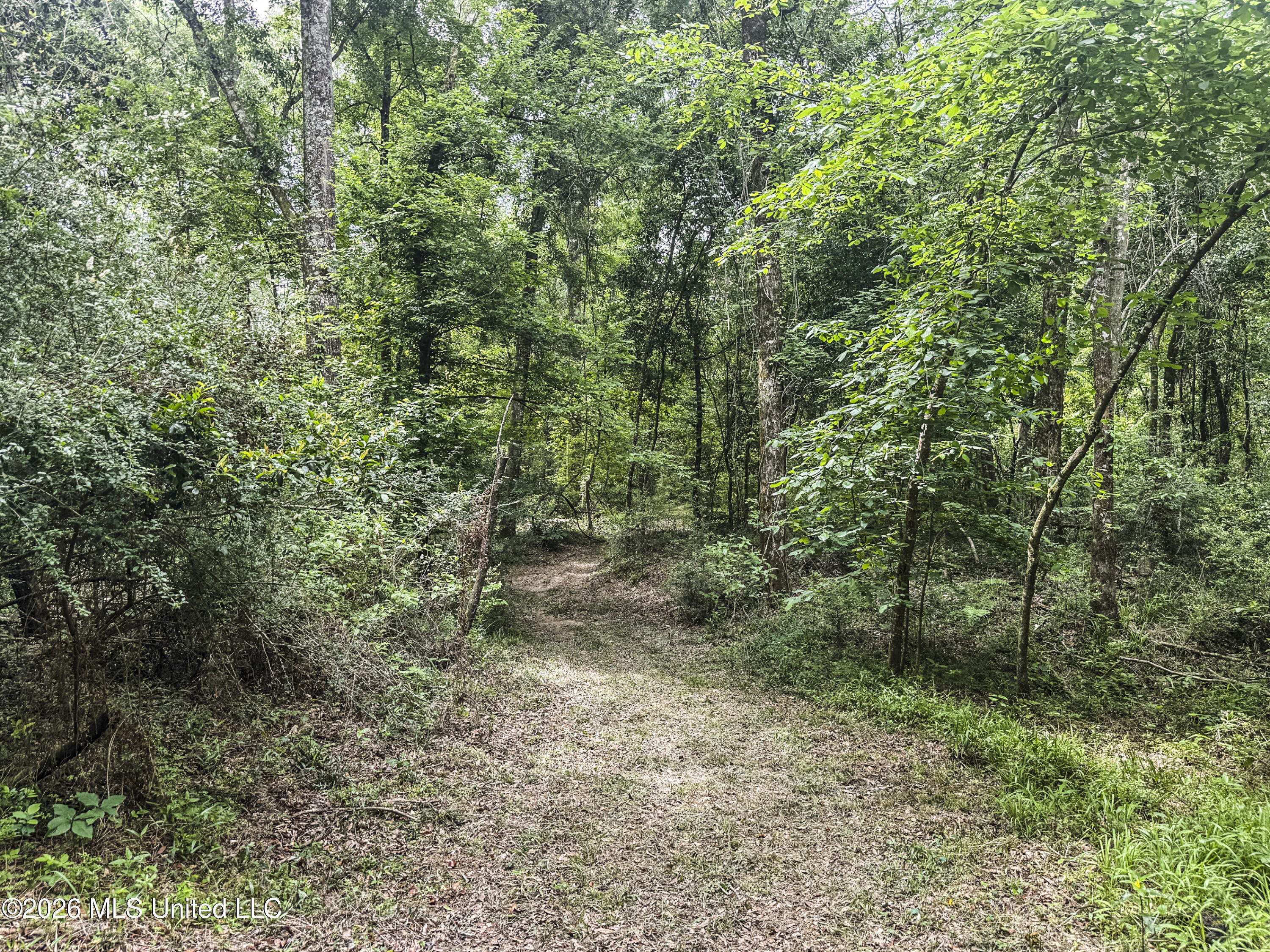 3195 Leatherwood Road Tylertown, MS 39667 - Photo 55 of 58 IMG_3228
