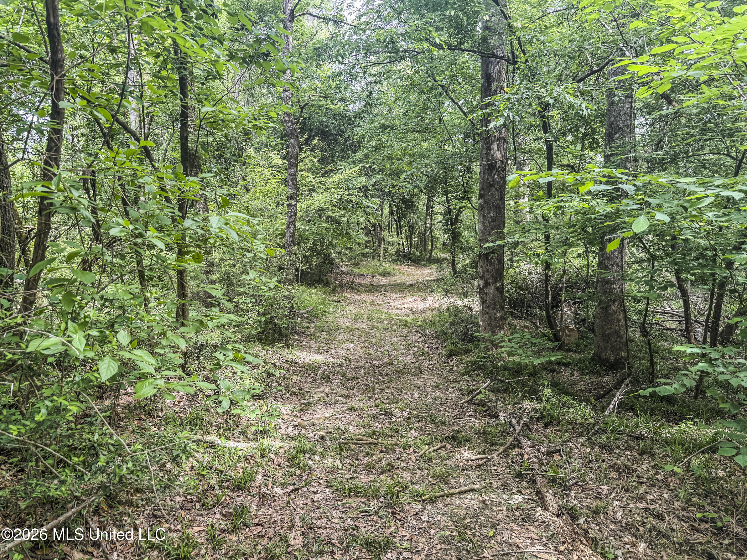 3195 Leatherwood Road Tylertown, MS 39667 - Photo 56 of 58 IMG_3229