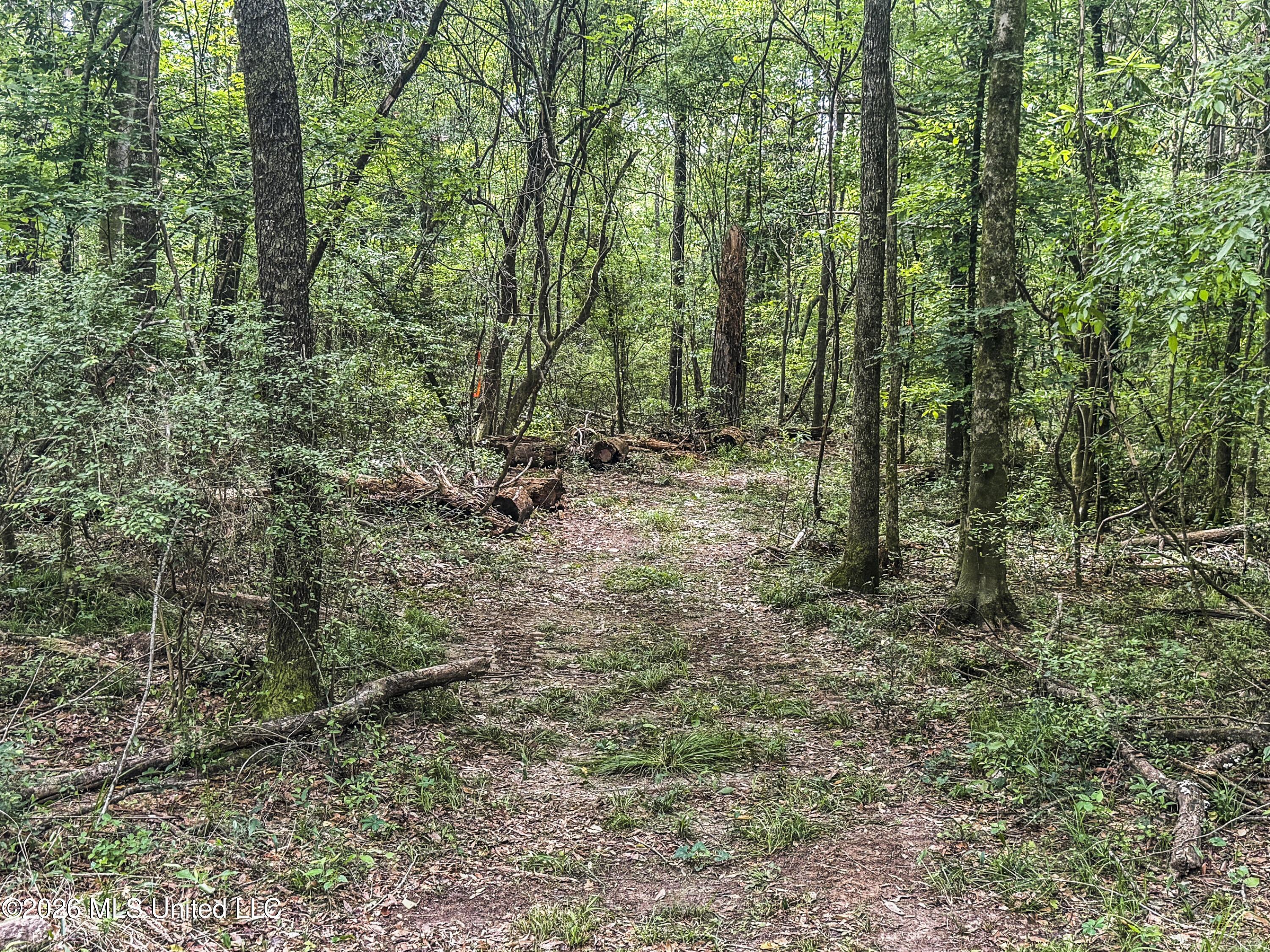 3195 Leatherwood Road Tylertown, MS 39667 - Photo 58 of 58 IMG_3231