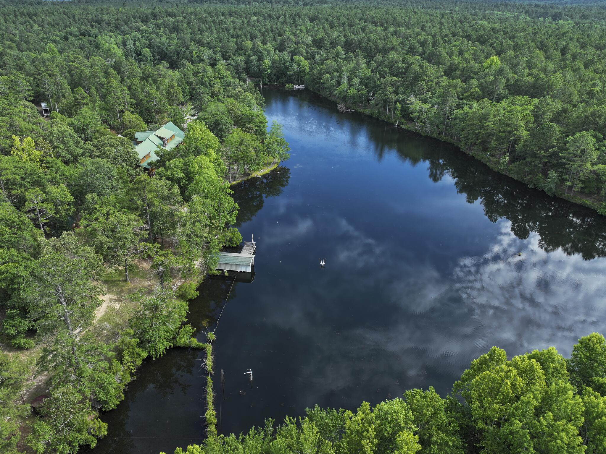 1366 Cummings Road Ridge Spring, SC 29129 - Photo 78 of 170 Gallery Image 78