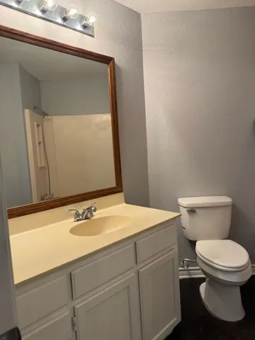 a bathroom with a sink mirror and toilet
